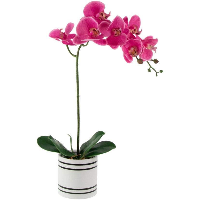 Real Touch™ Artificial Spring Orchids in a Striped Ceramic Pot - 2 - Pink