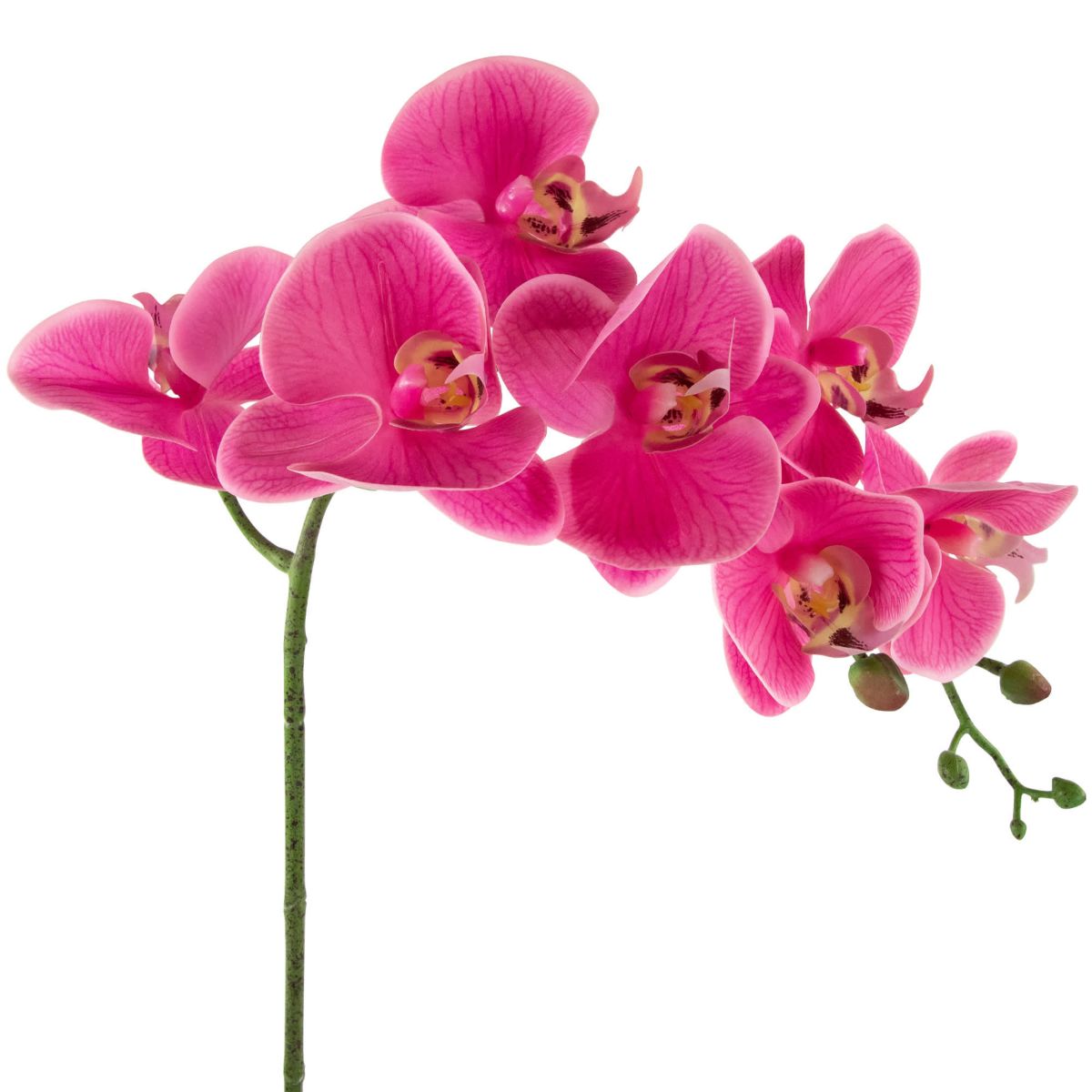 Real Touch™ Artificial Spring Orchids in a Striped Ceramic Pot - 2 - Pink