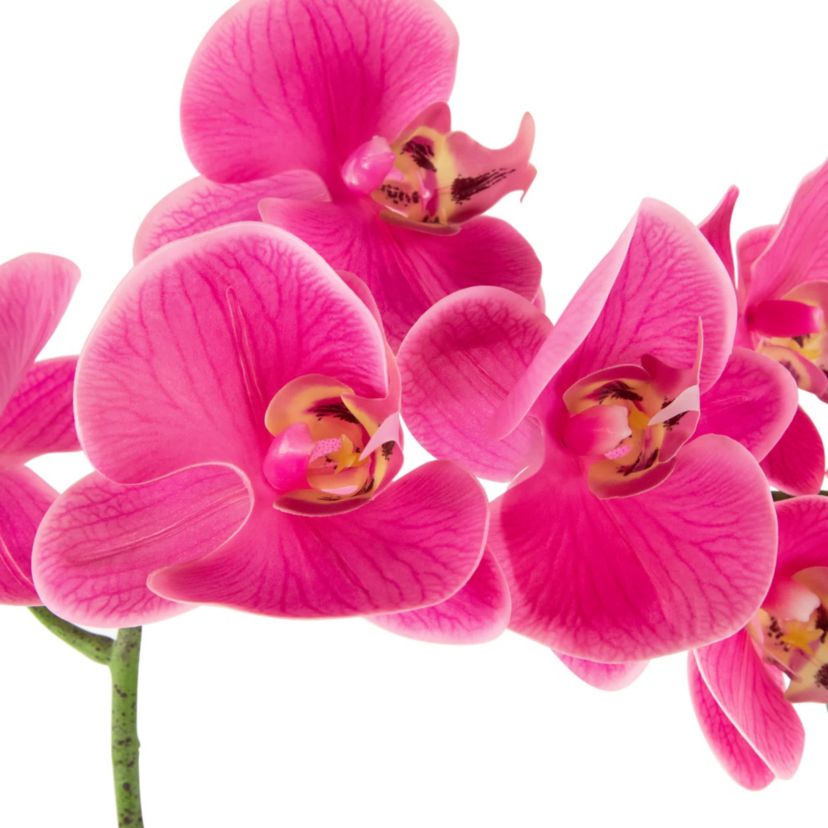 Real Touch™ Artificial Spring Orchids in a Striped Ceramic Pot - 2 - Pink