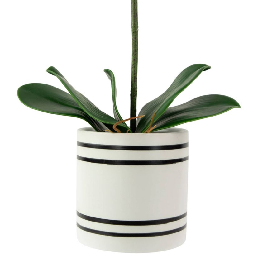 Real Touch™ Artificial Spring Orchids in a Striped Ceramic Pot - 2 - Pink