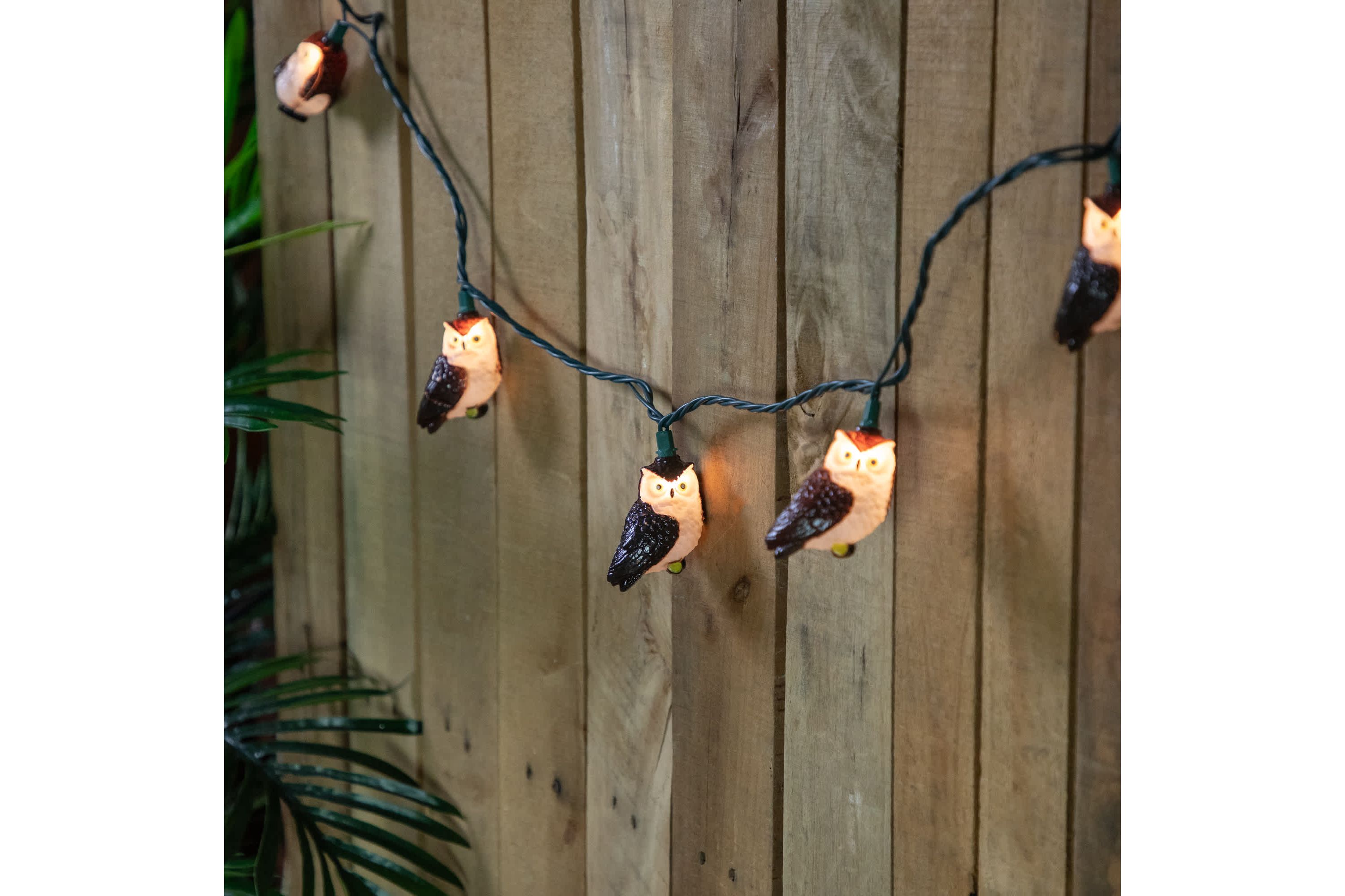 Owl Indoor Outdoor Patio Light Set - 6  - Green Wire - 10ct