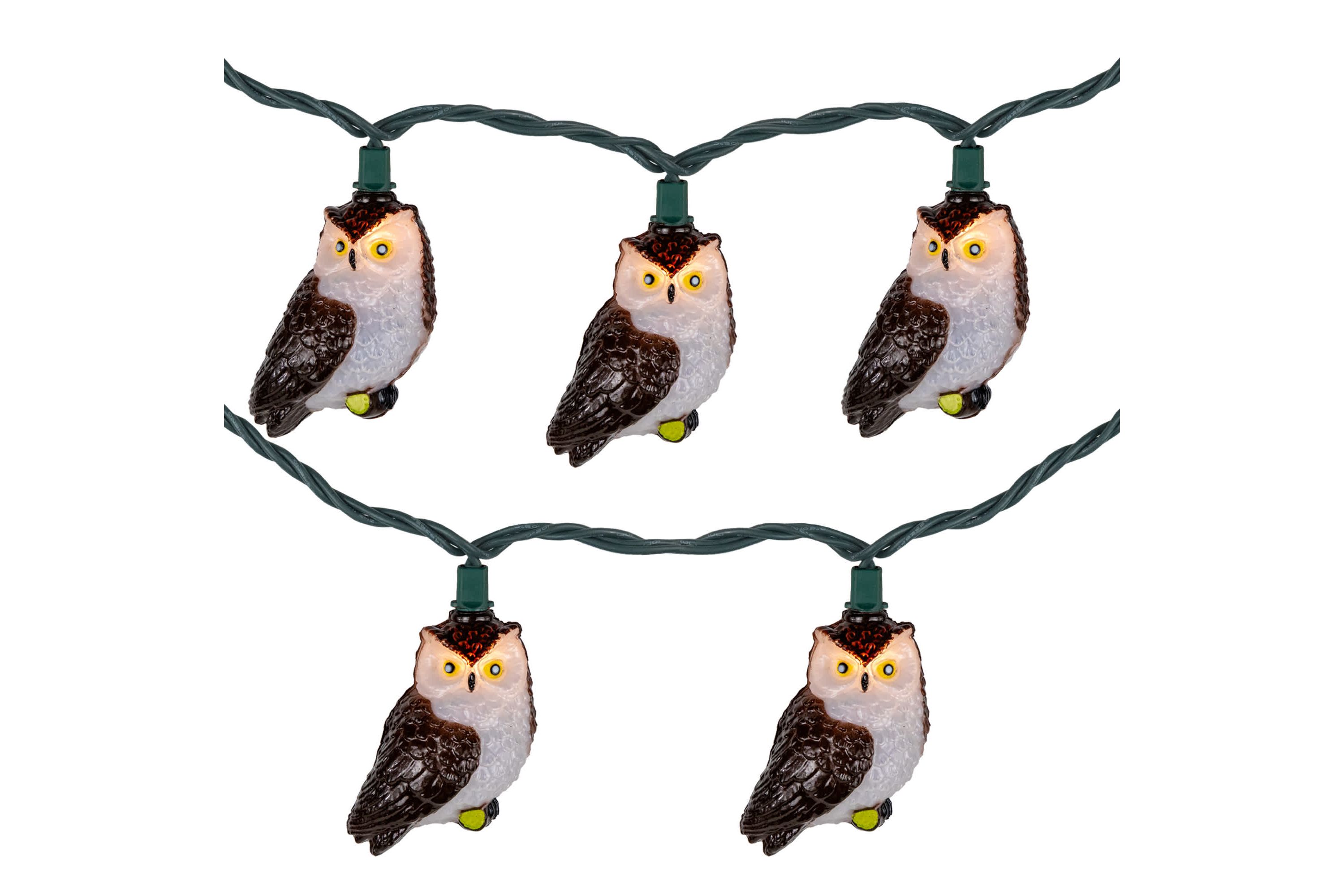 Owl Indoor Outdoor Patio Light Set - 6  - Green Wire - 10ct