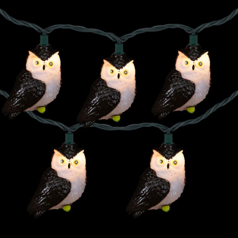 Owl Indoor Outdoor Patio Light Set - 6  - Green Wire - 10ct