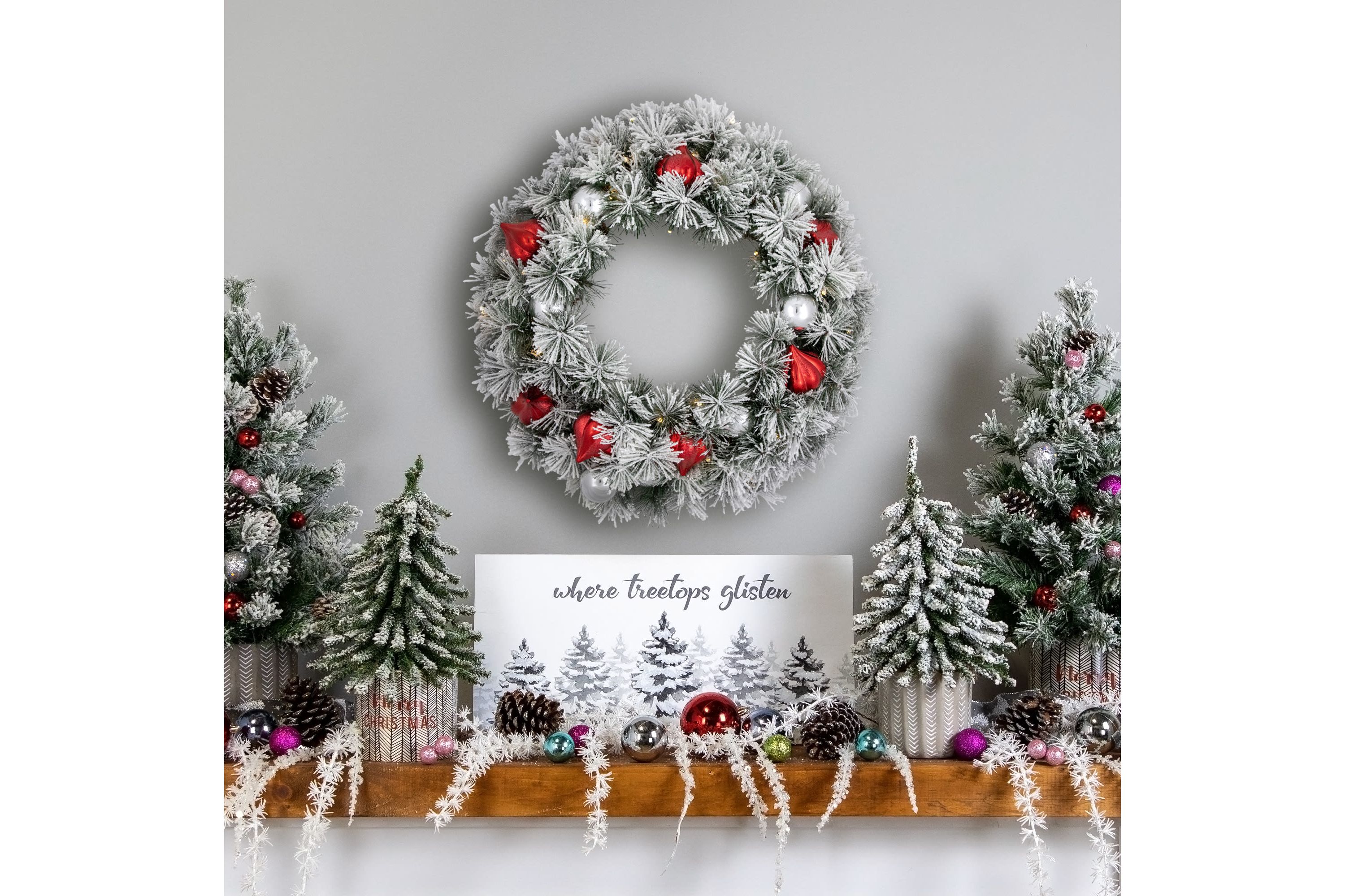 Pre-Lit Snowy Bristle Pine Christmas Wreath, 24-Inch, Warm White LED Lights