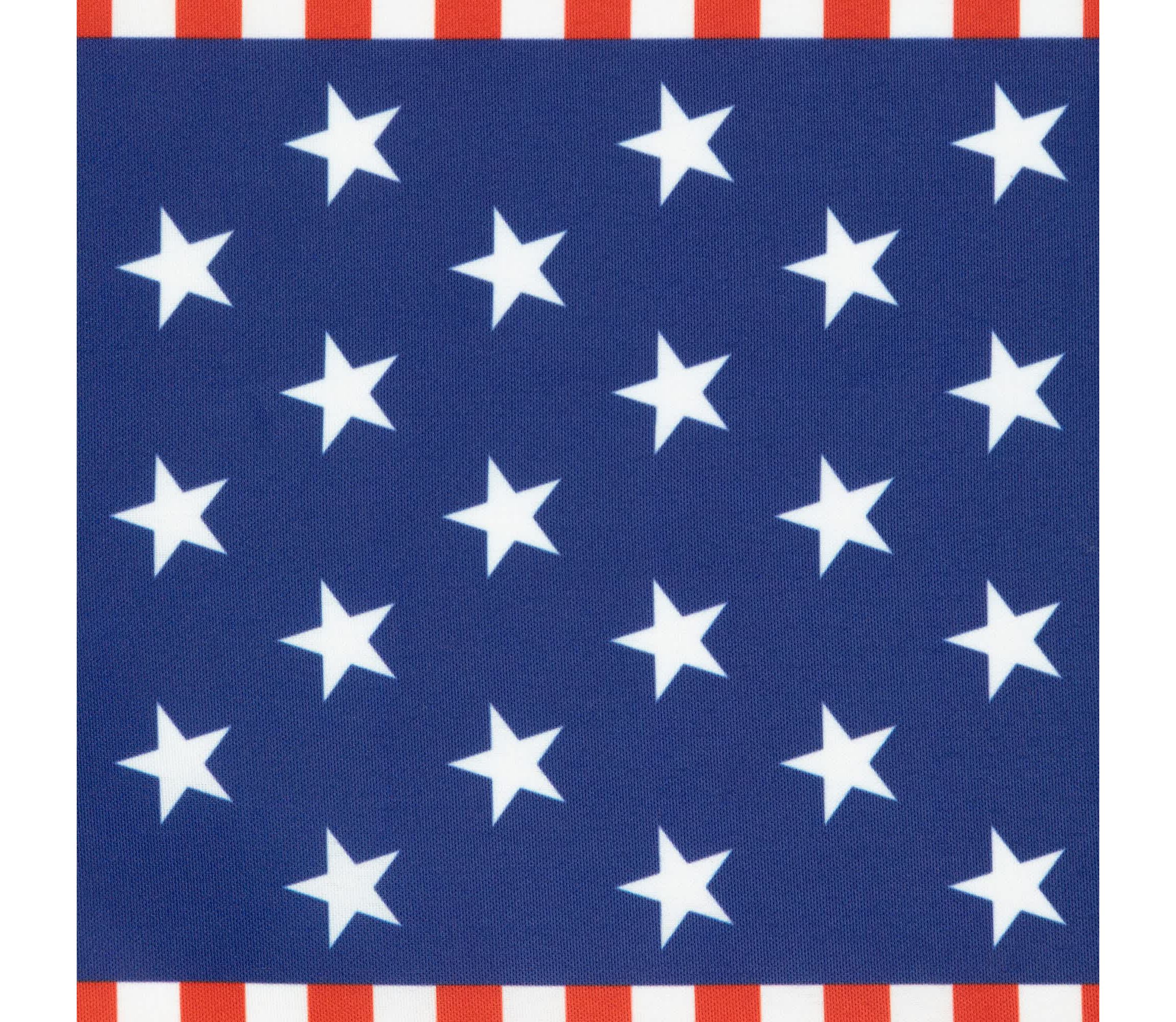 Set of 4 Stars and Stripes Americana Printed Placemats 18"