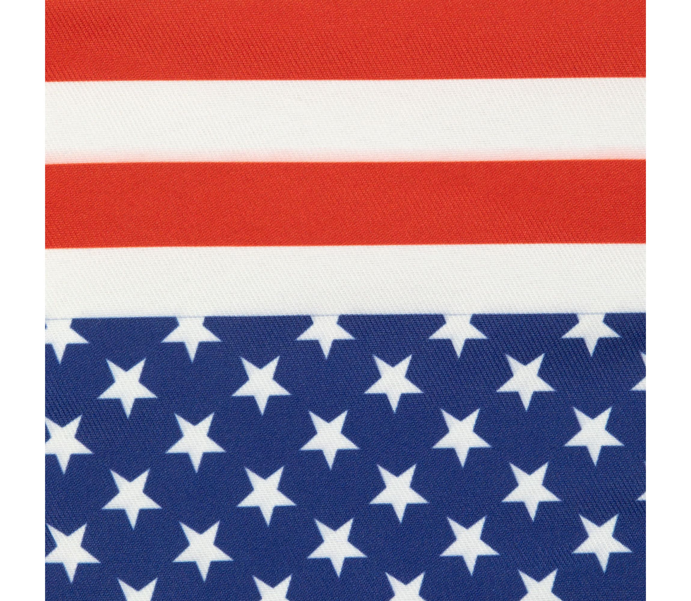 Stars and Stripes Americana Oven Mitts - 13.75" - Red and Blue - Set of 2