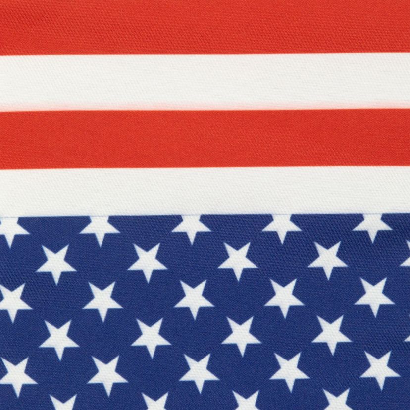 Stars and Stripes Americana Oven Mitts - 13.75" - Red and Blue - Set of 2