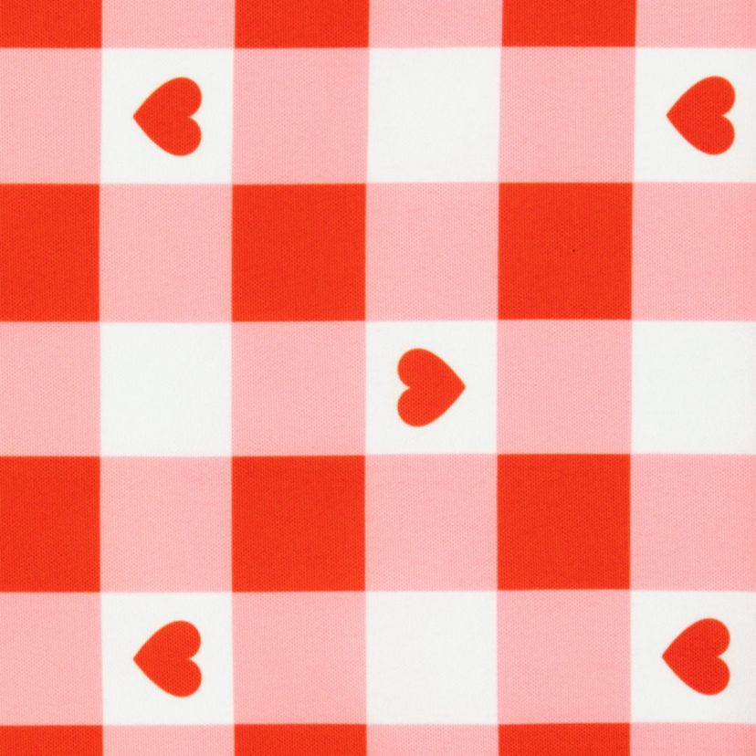 Set of 4 Checkered Hearts Valentines Day Placemats 18"