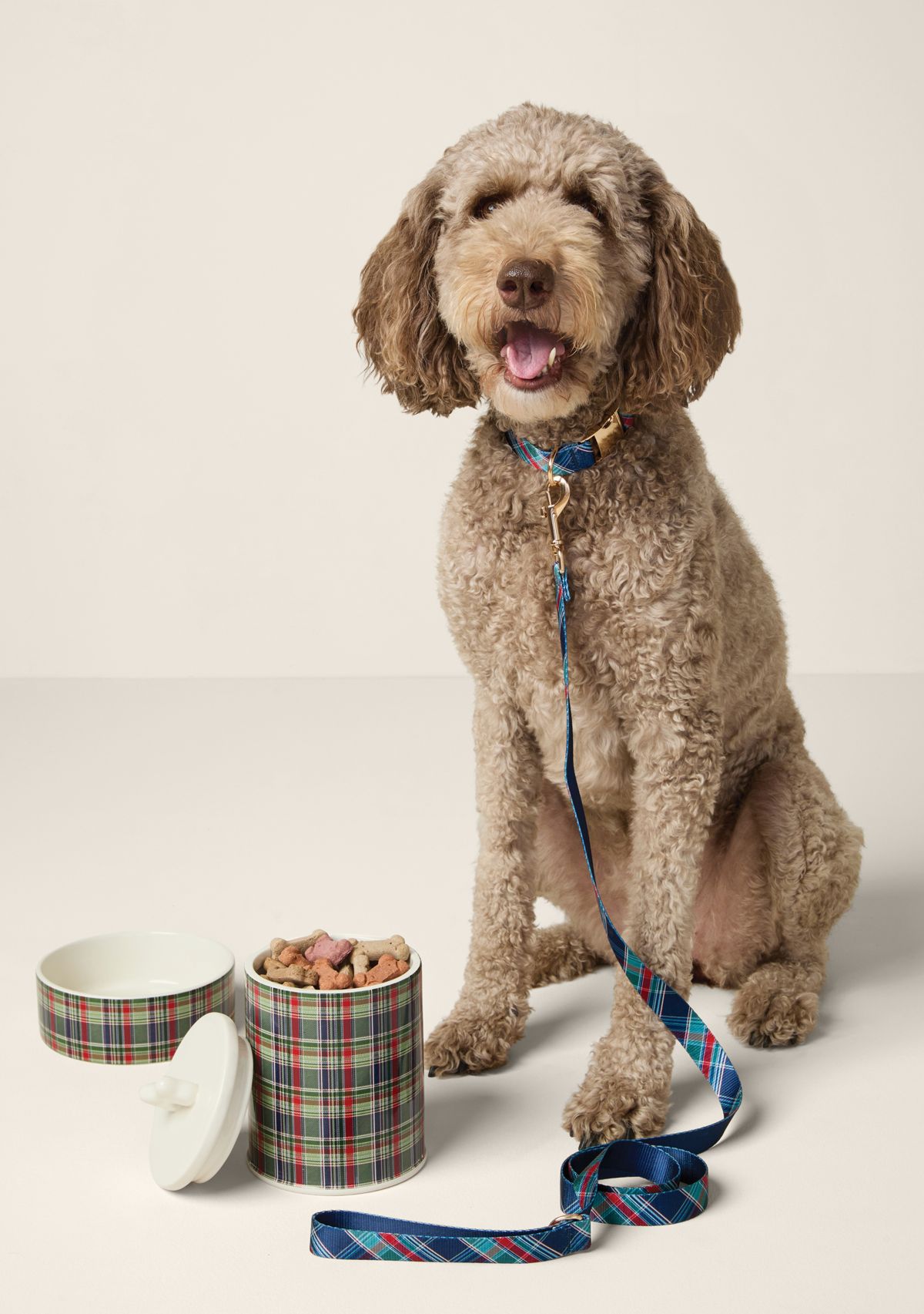 Sewing Down South x Crown & Ivy™ Plaid Pet Canister