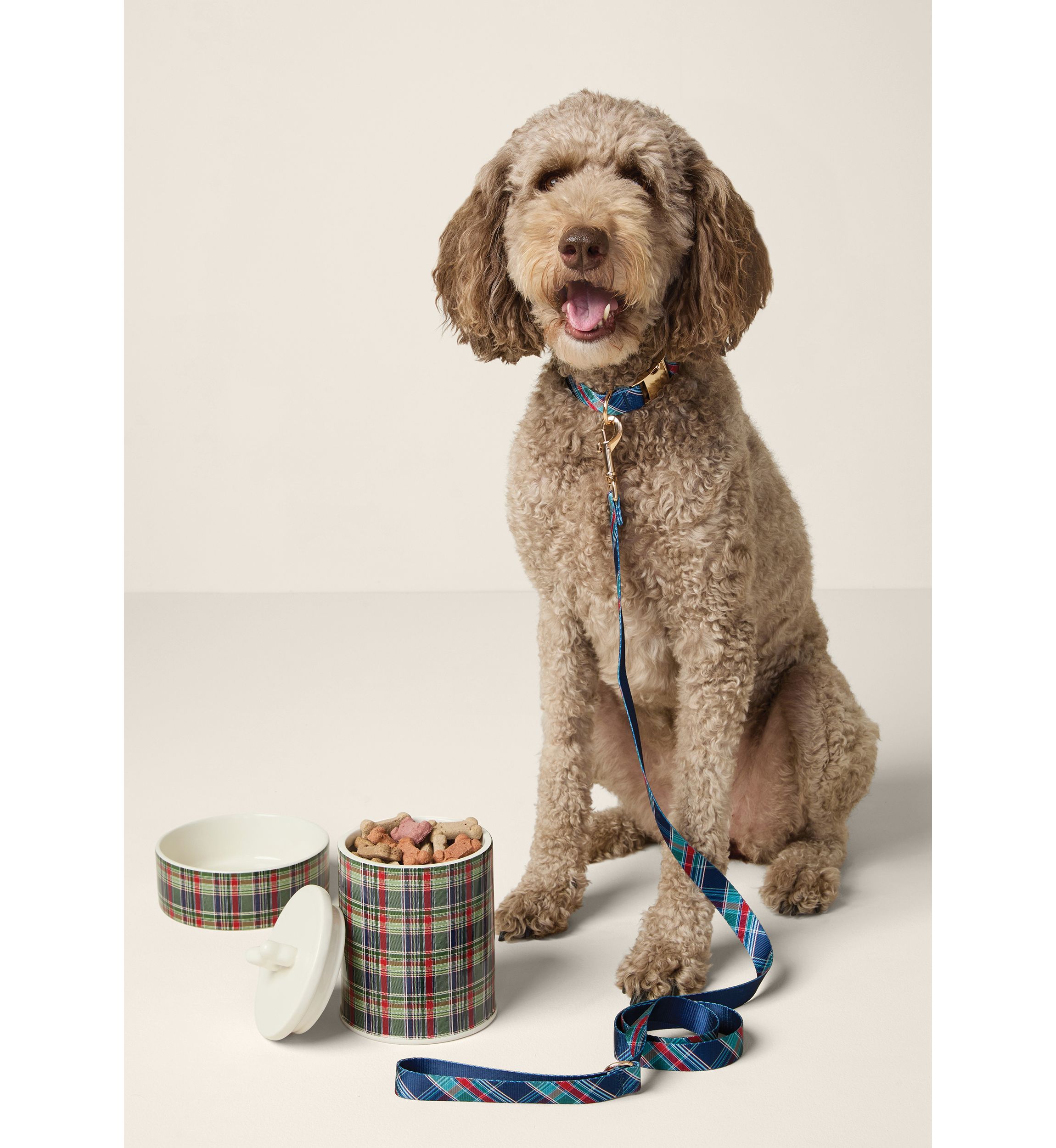 Sewing Down South x Crown & Ivy™ Plaid Pet Canister