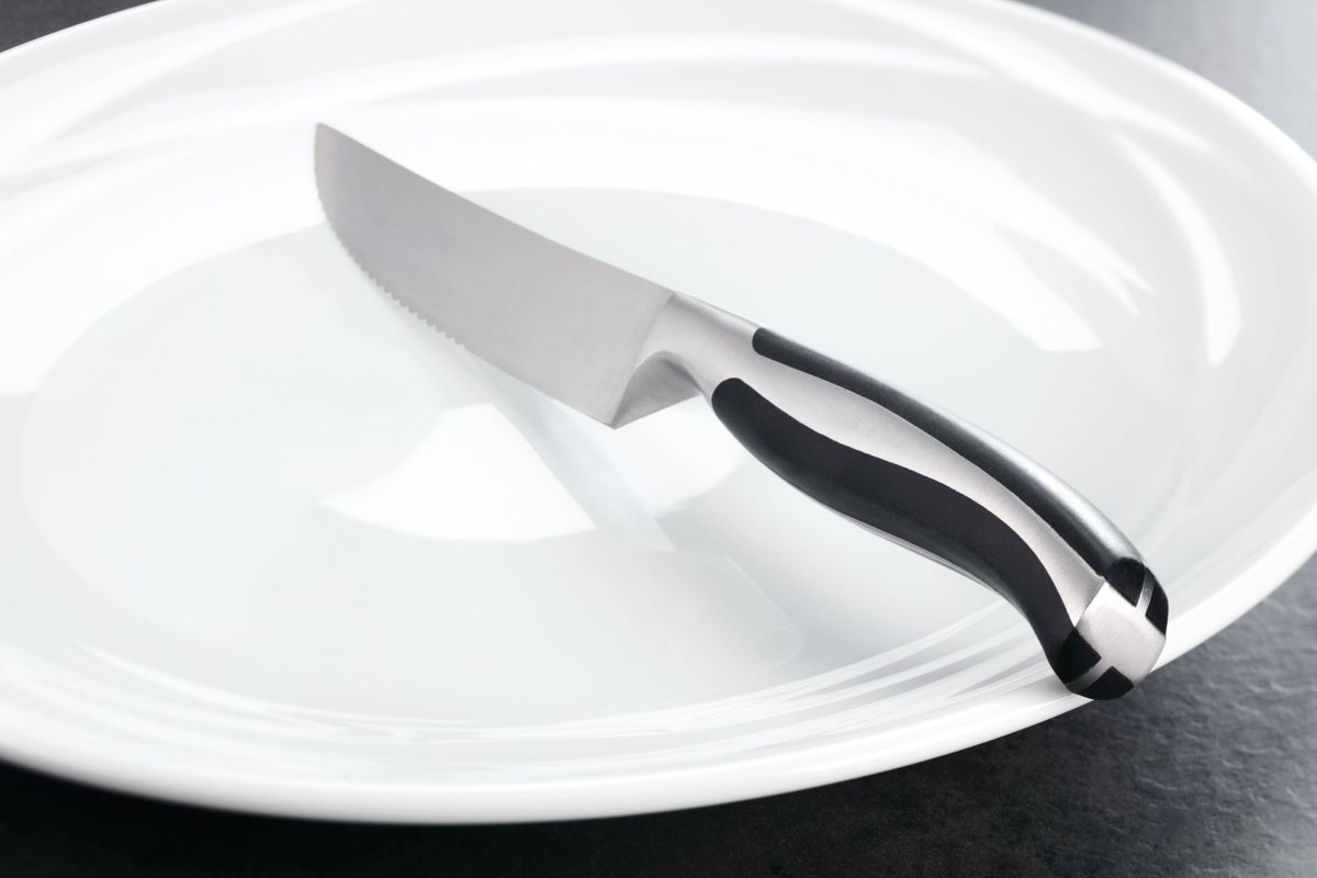 Contour 4-Piece Steak Knife Set