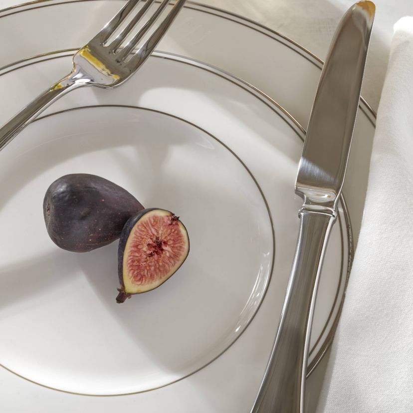 Federal Platinum 12-Piece Dinnerware Set, Service for 4