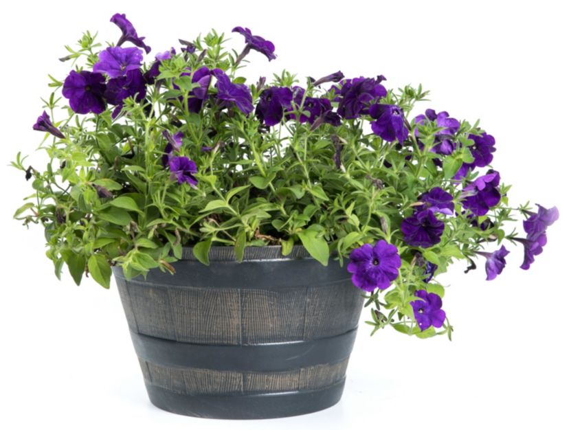 Rustic Wood- Look Plastic Half Barrel Flower Pot Bucket Planter, Pack of 4