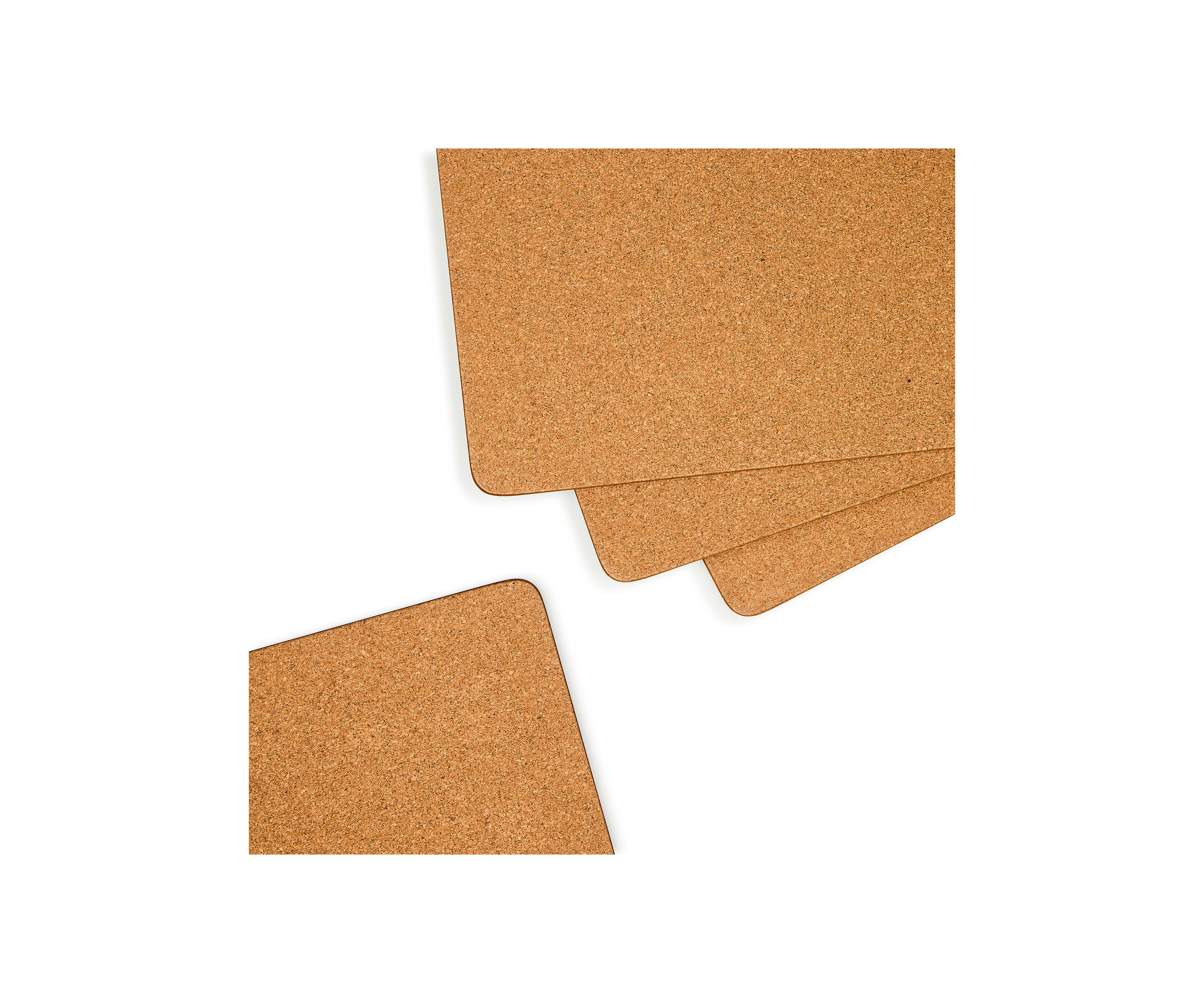 Check Cork Back Placemats - Set of 4
