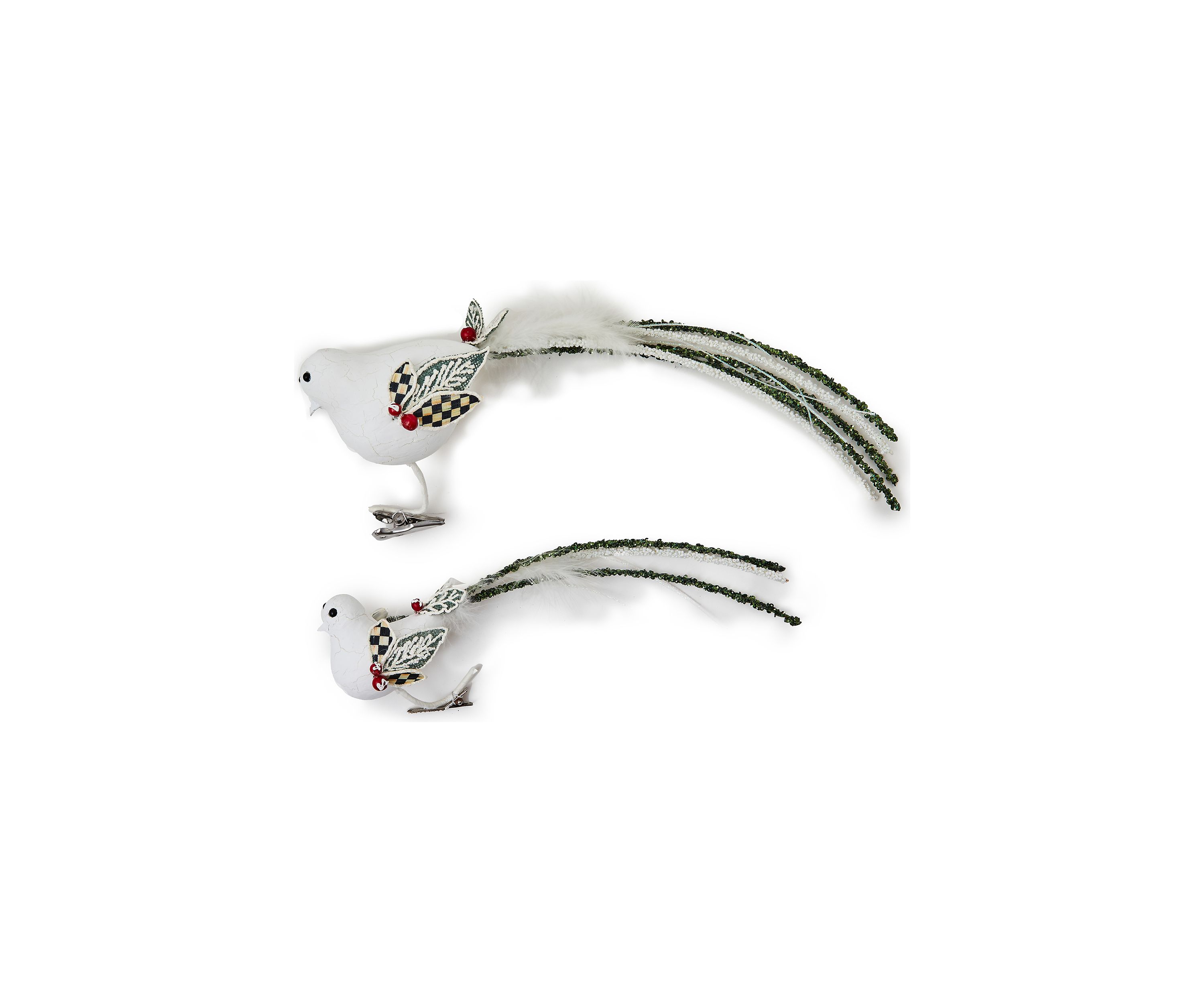 Bird Clips
