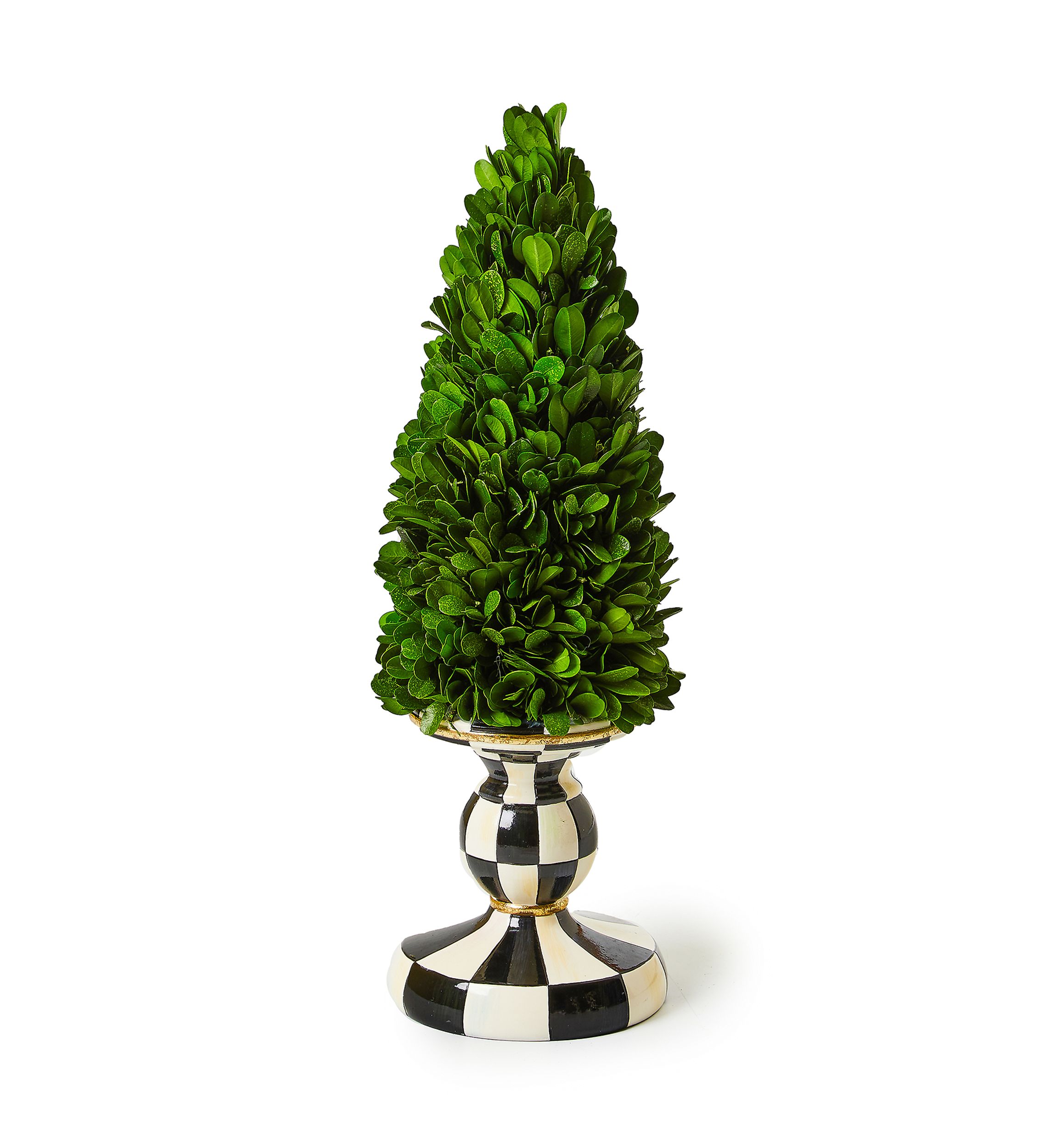 Courtly Check® Small Pedestal Boxwood Tree