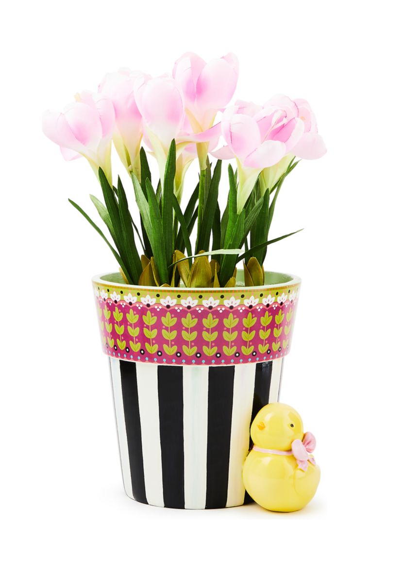 Calico Potted Crocus with Chick