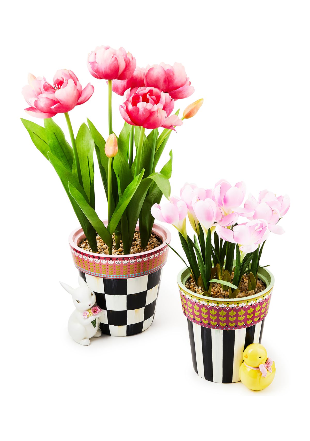 Calico Potted Crocus with Chick
