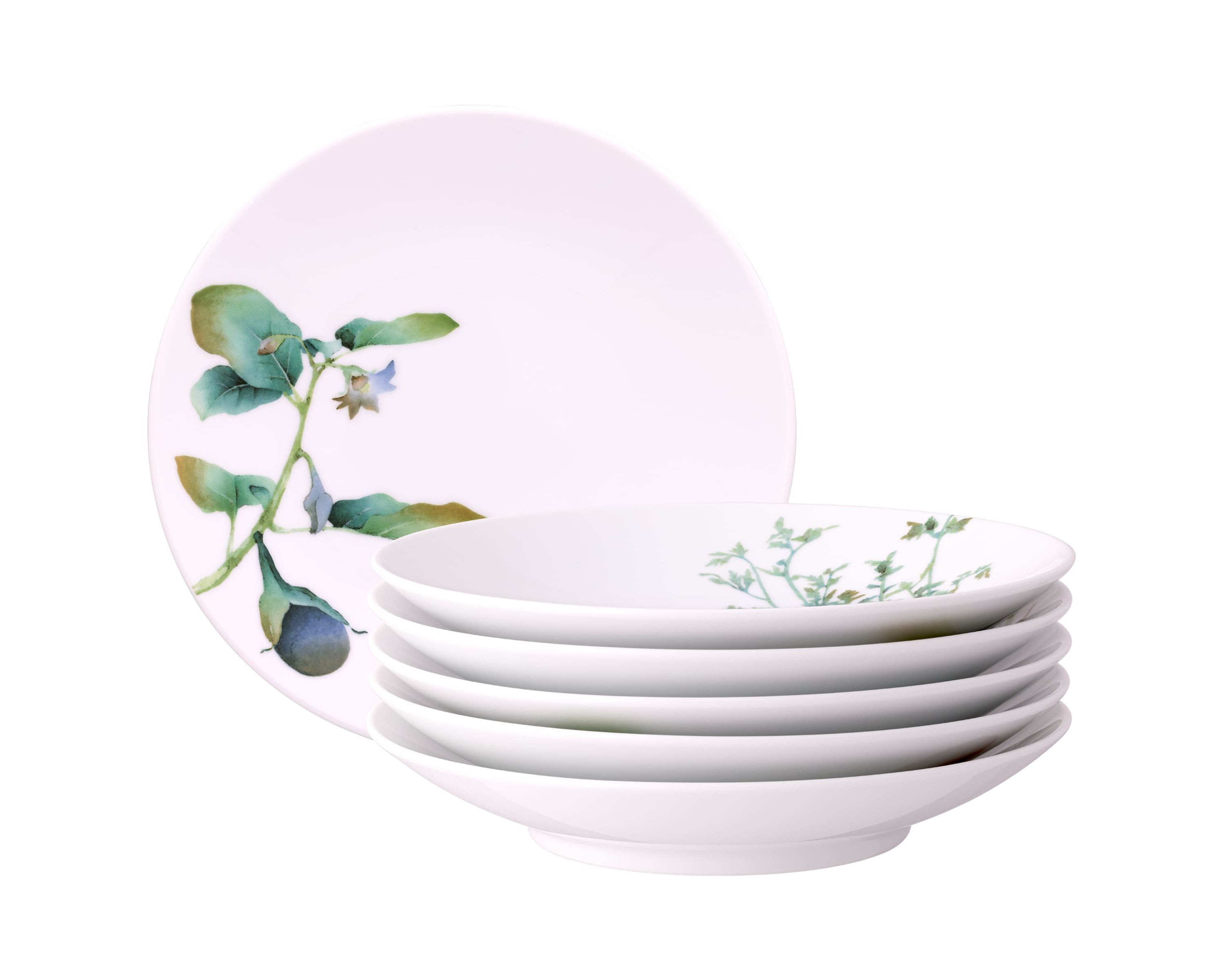 Kyoka Shunsai Set of 6 Deep Plates, 9.25"