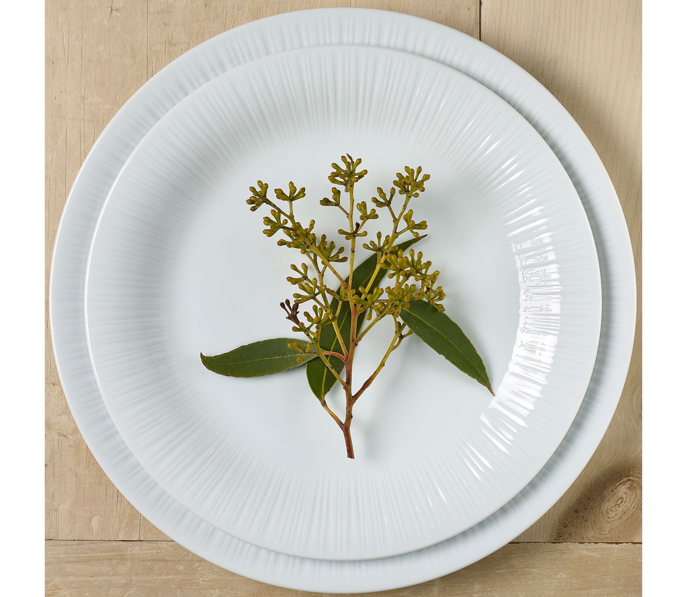 Conifere 24-Piece Dinnerware Set, Service for 6