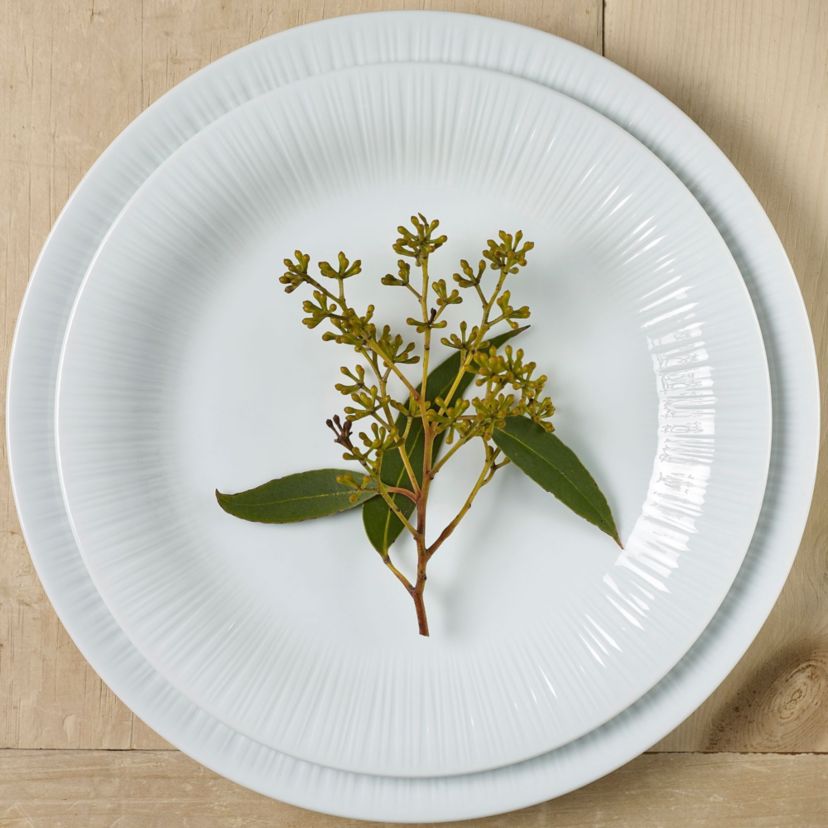 Conifere 24-Piece Dinnerware Set, Service for 6