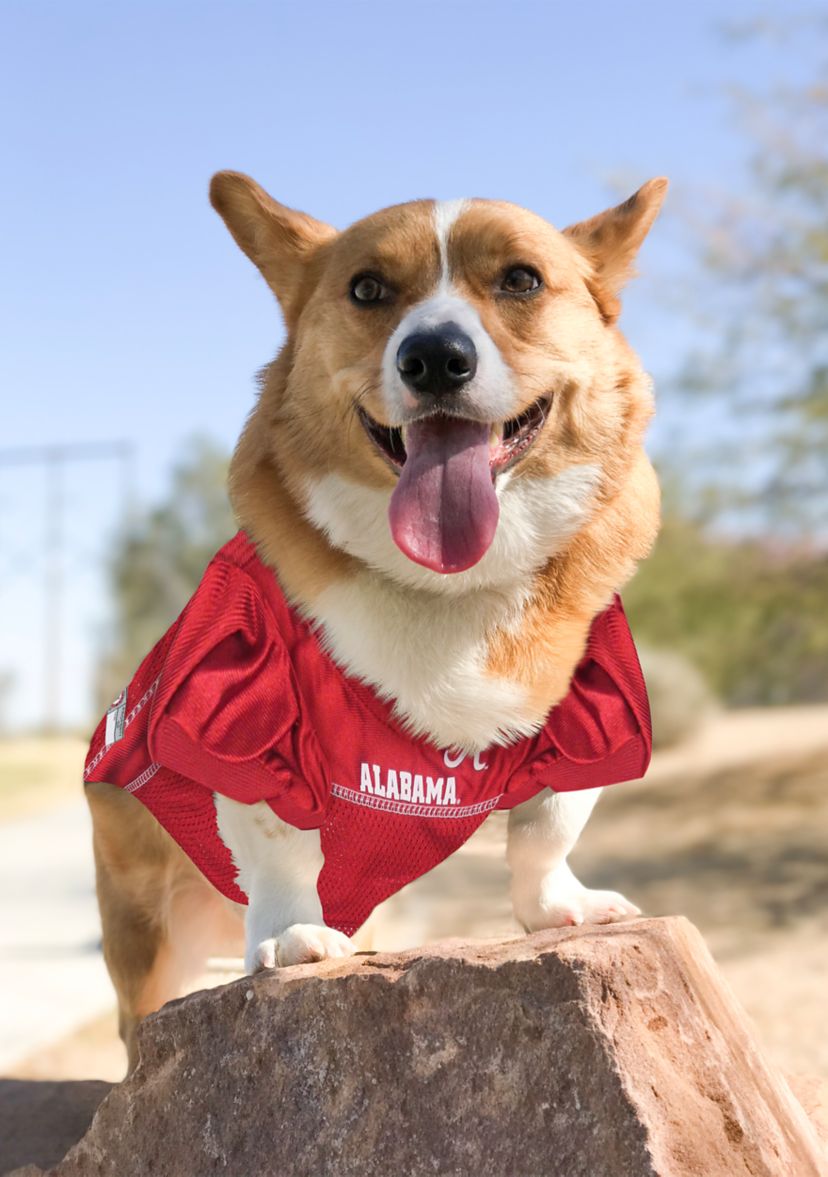 NCAA Alabama Crimson Tide Pet Jersey 