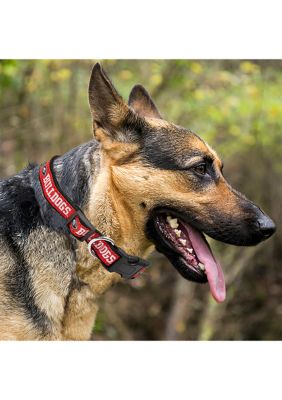  Pets First Collegiate Pet Accessories, Dog Collar