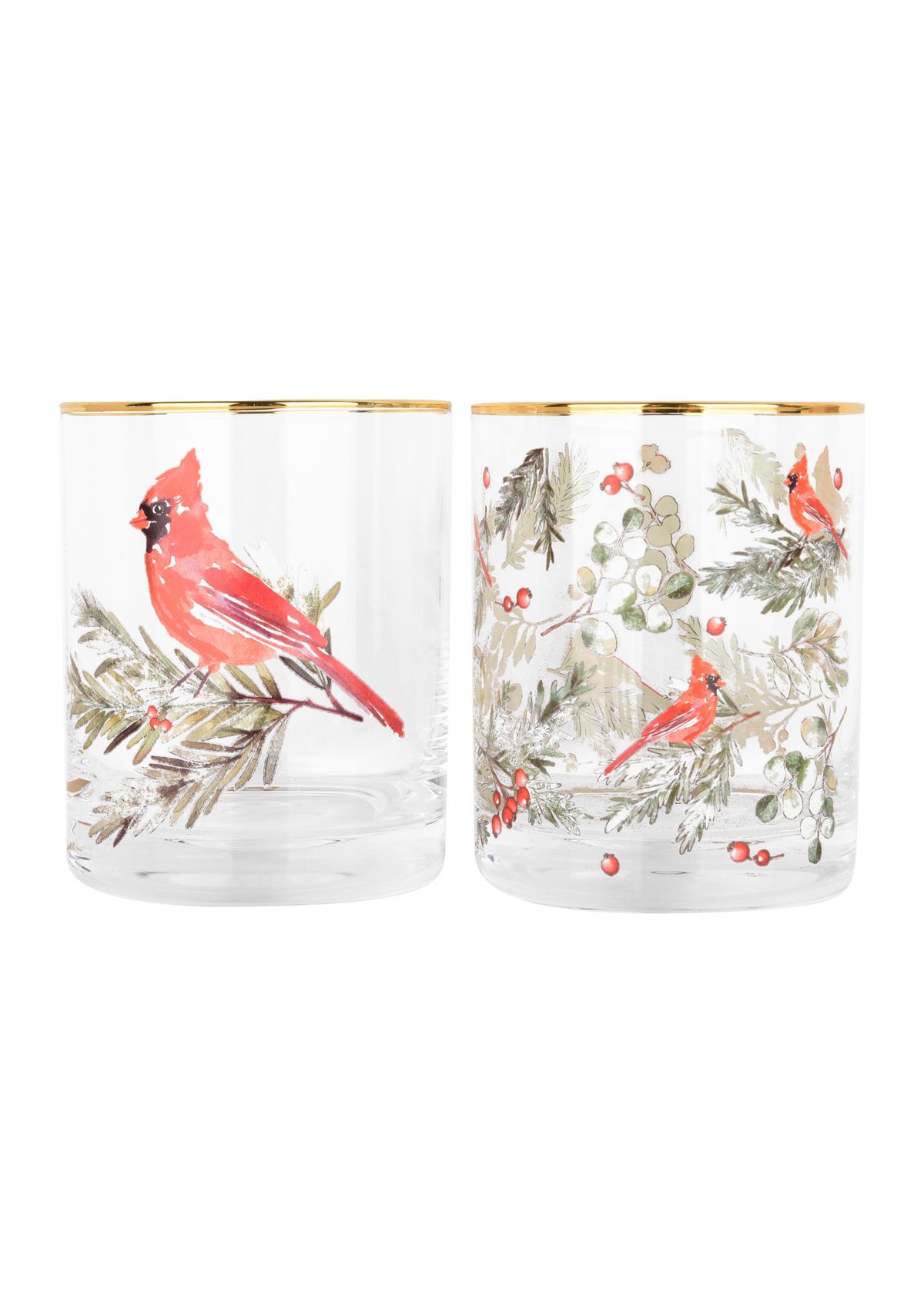 Set of 2 Cardinal DOF Glasses
