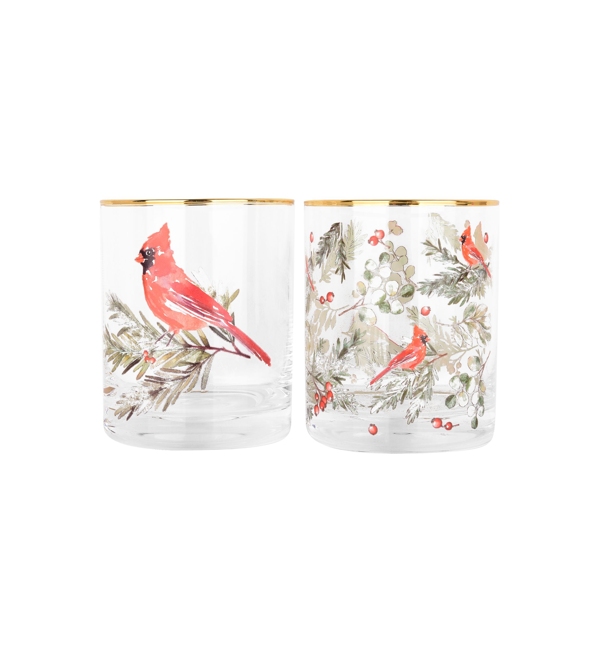 Set of 2 Cardinal DOF Glasses