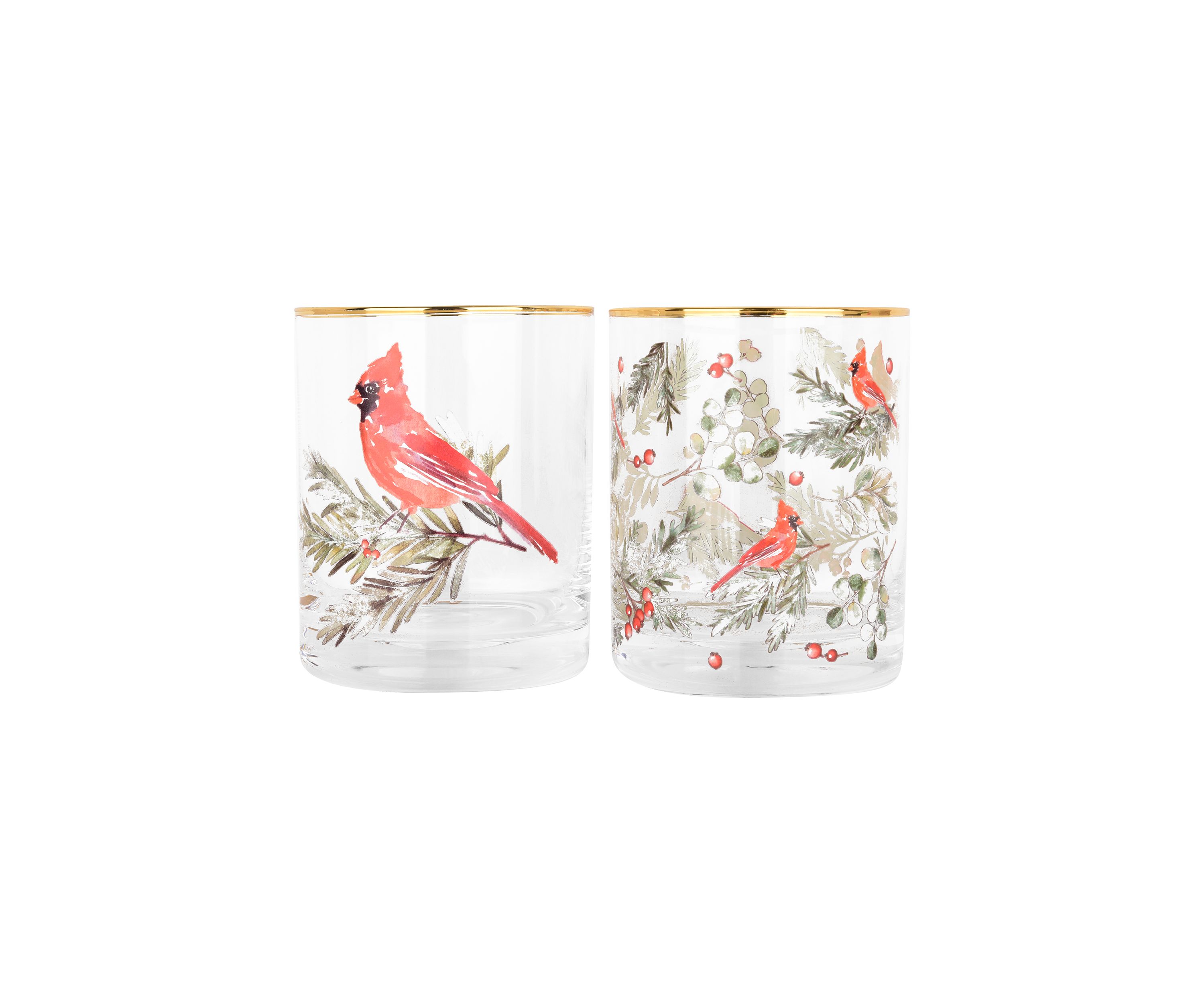 Set of 2 Cardinal DOF Glasses
