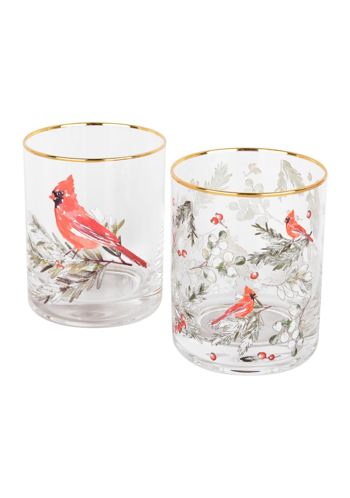 Set of 2 Cardinal DOF Glasses