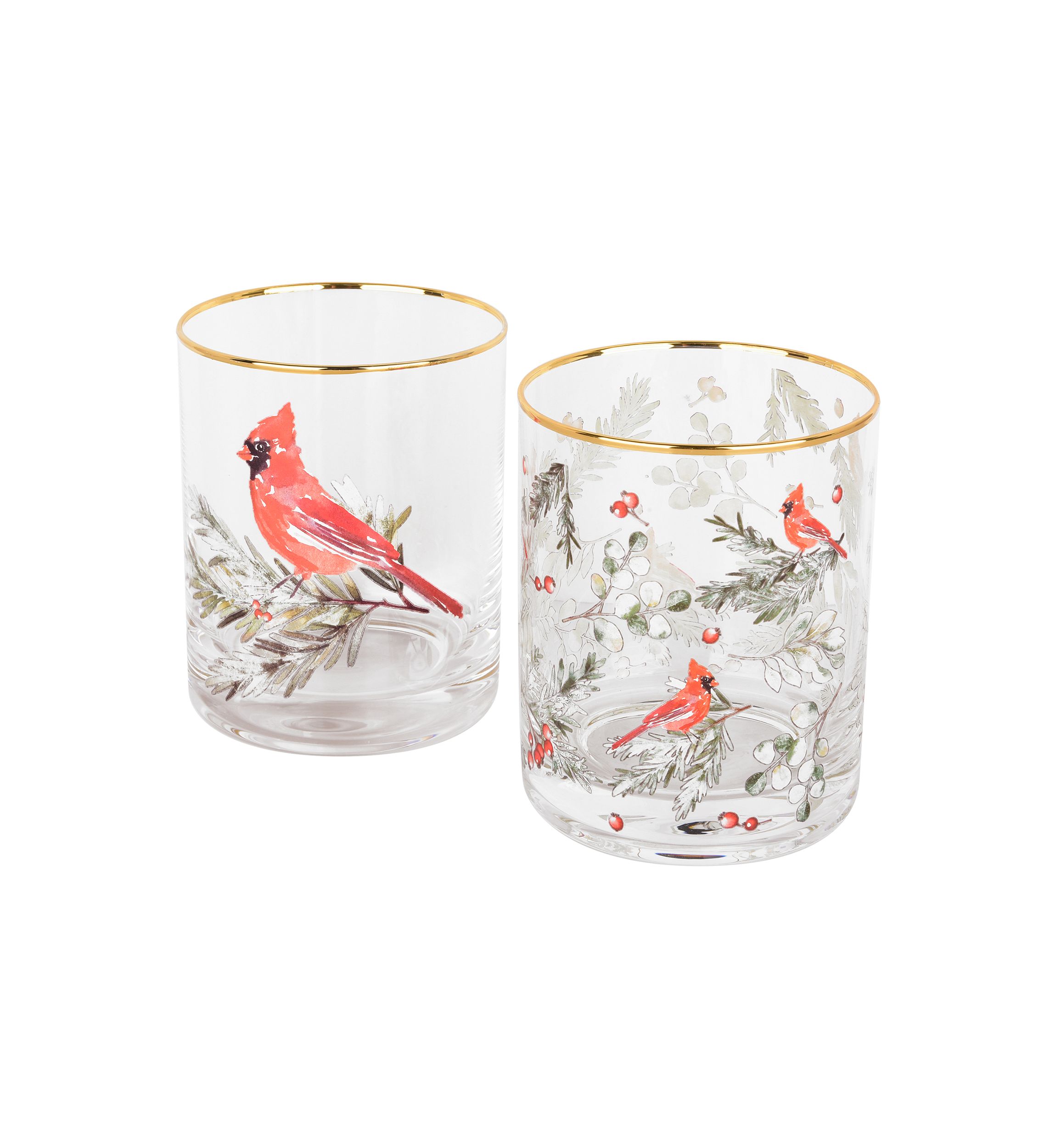 Set of 2 Cardinal DOF Glasses