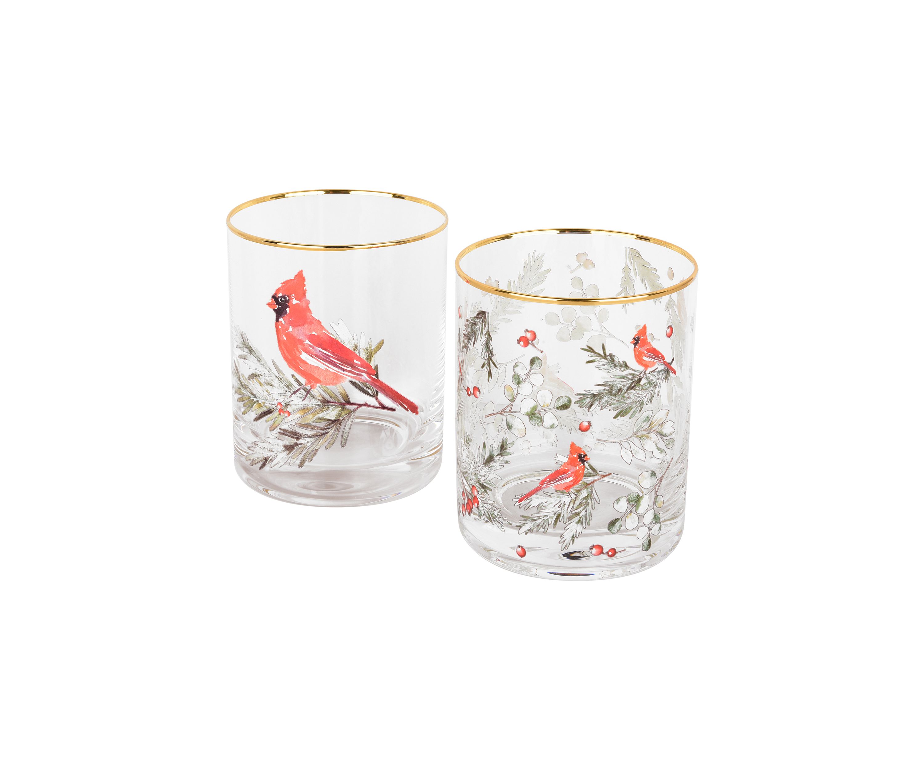 Set of 2 Cardinal DOF Glasses