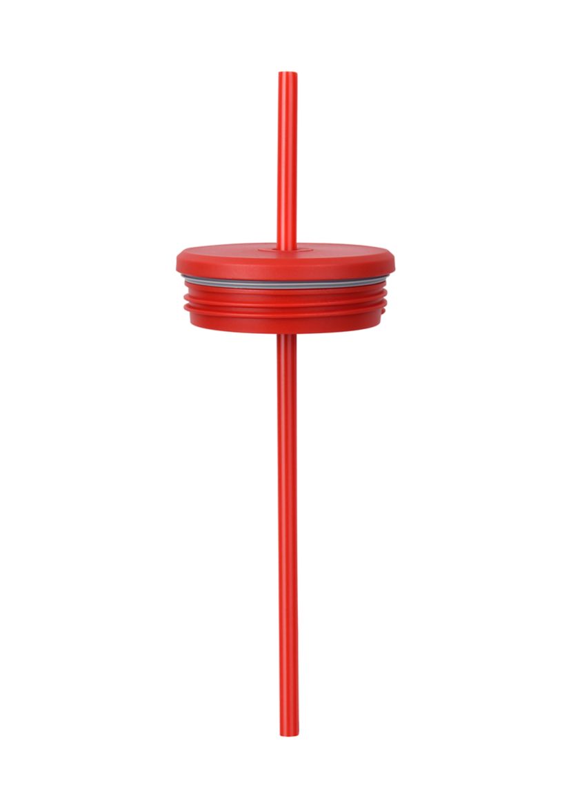 24 oz Santa & Snowman Insulated Straw Tumber
