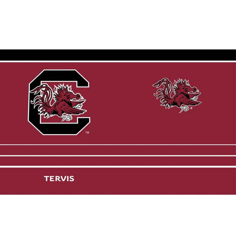 NCAA South Carolina Gamecocks 20oz. MVP Stainless Tumbler