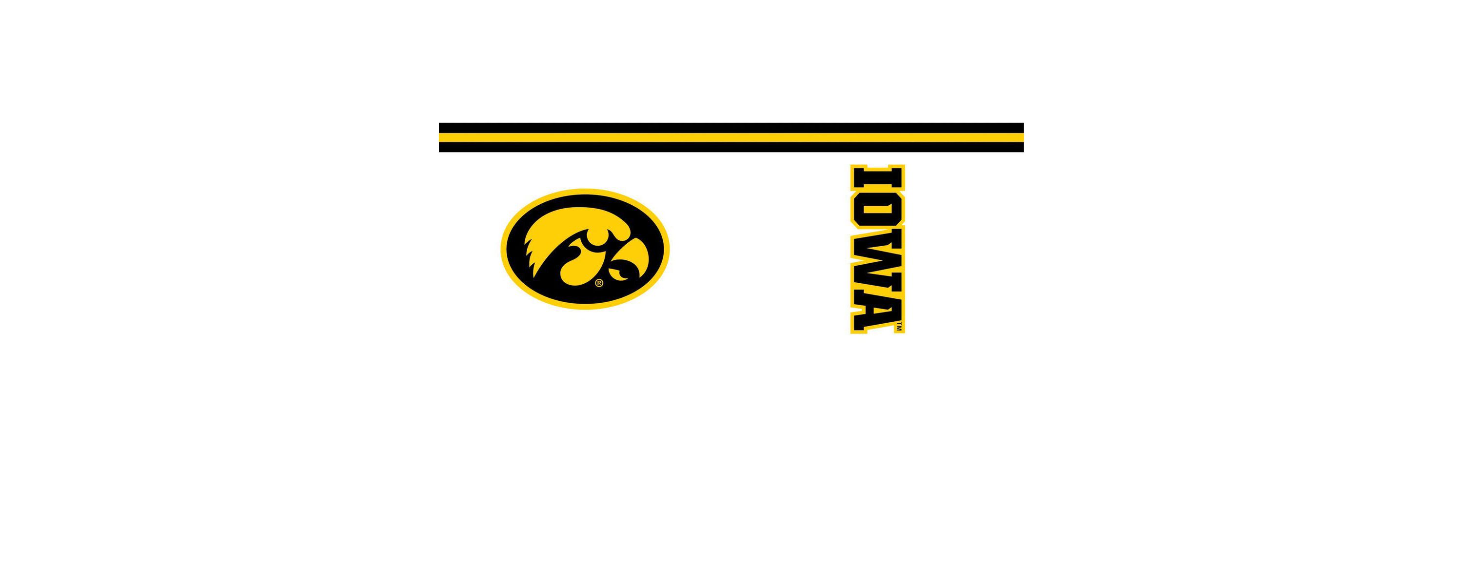 NCAA Iowa Hawkeyes Arctic 20oz. Stainless Tumbler