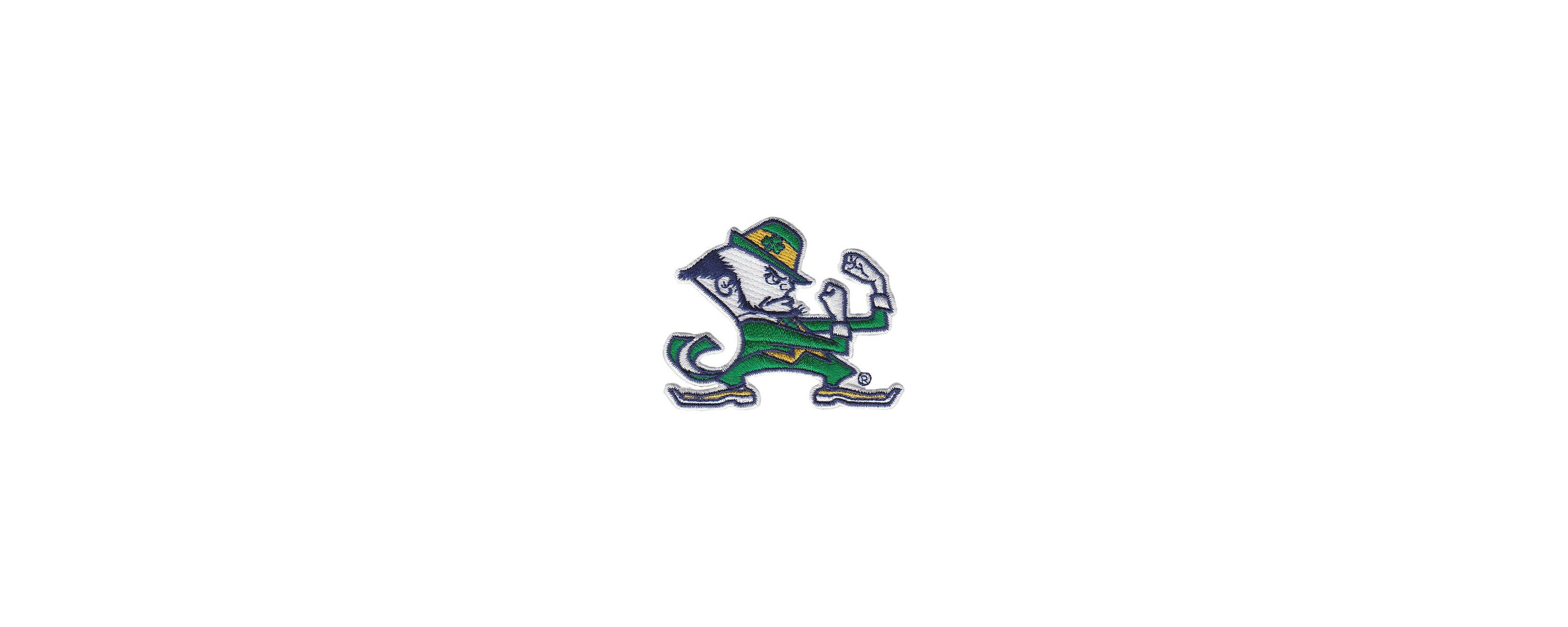 NCAA Notre Dame Fighting Irish 2-Pack 16oz. Competitor & Emblem Tumbler Set