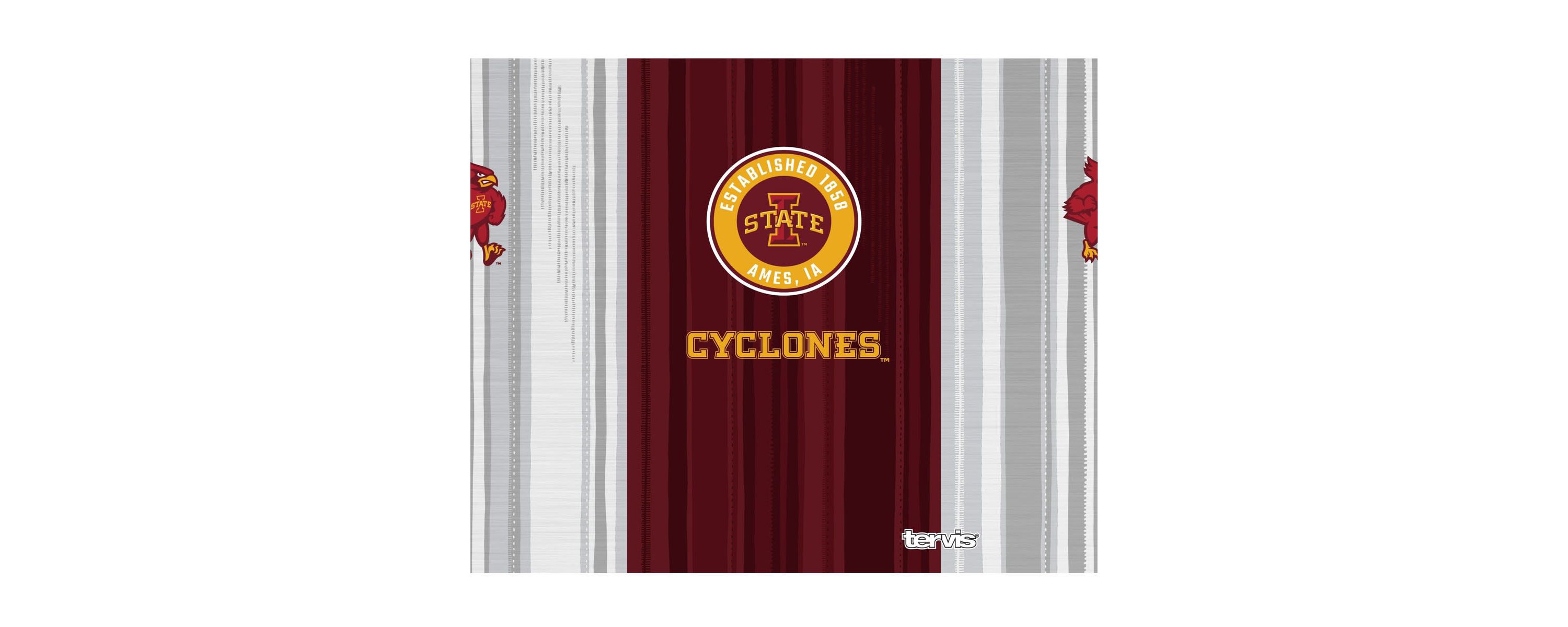 NCAA Iowa State Cyclones 40oz. All In Wide Mouth Water Bottle
