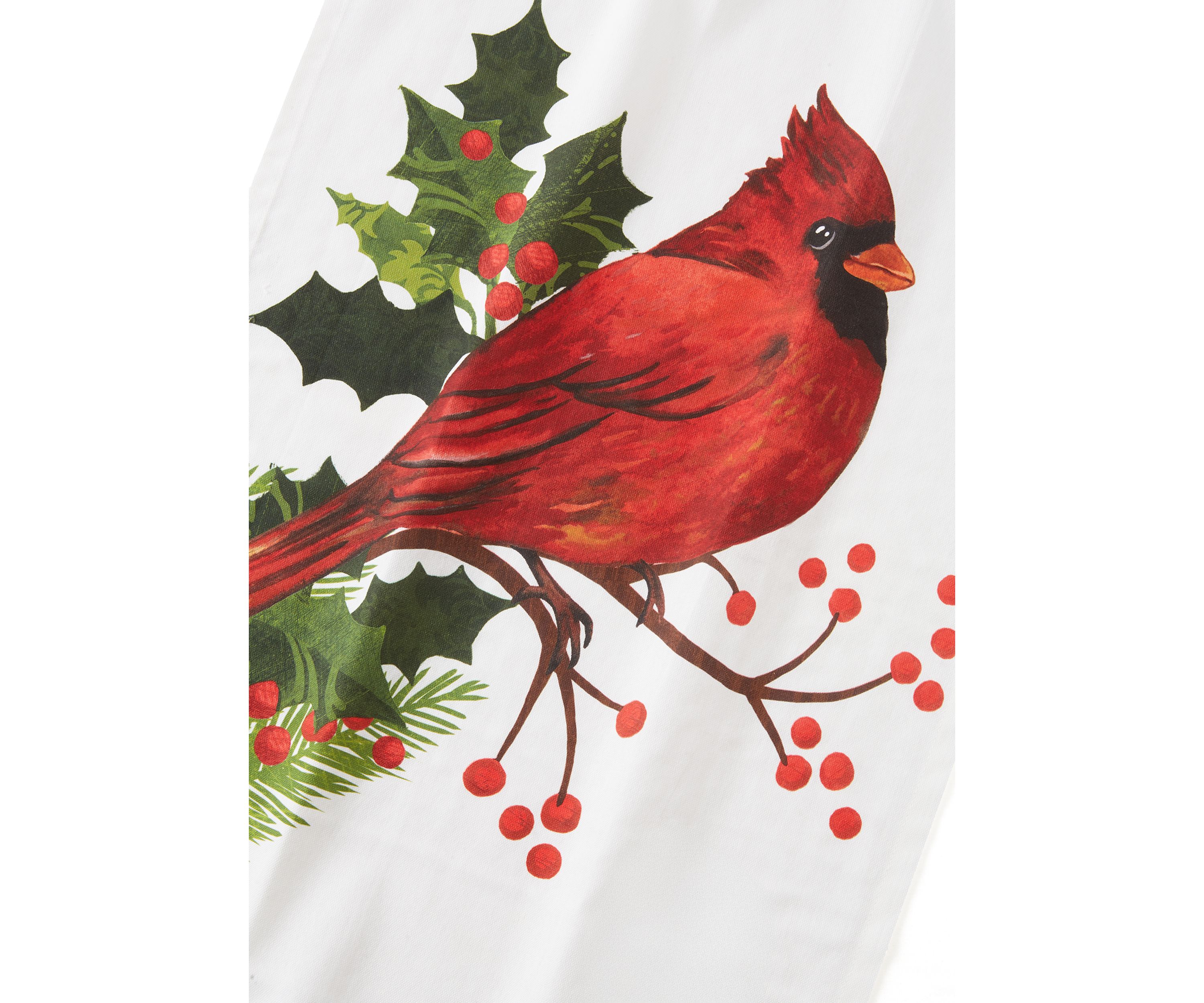 Set of 2 Holiday Truck and Winter Cardinal Towels