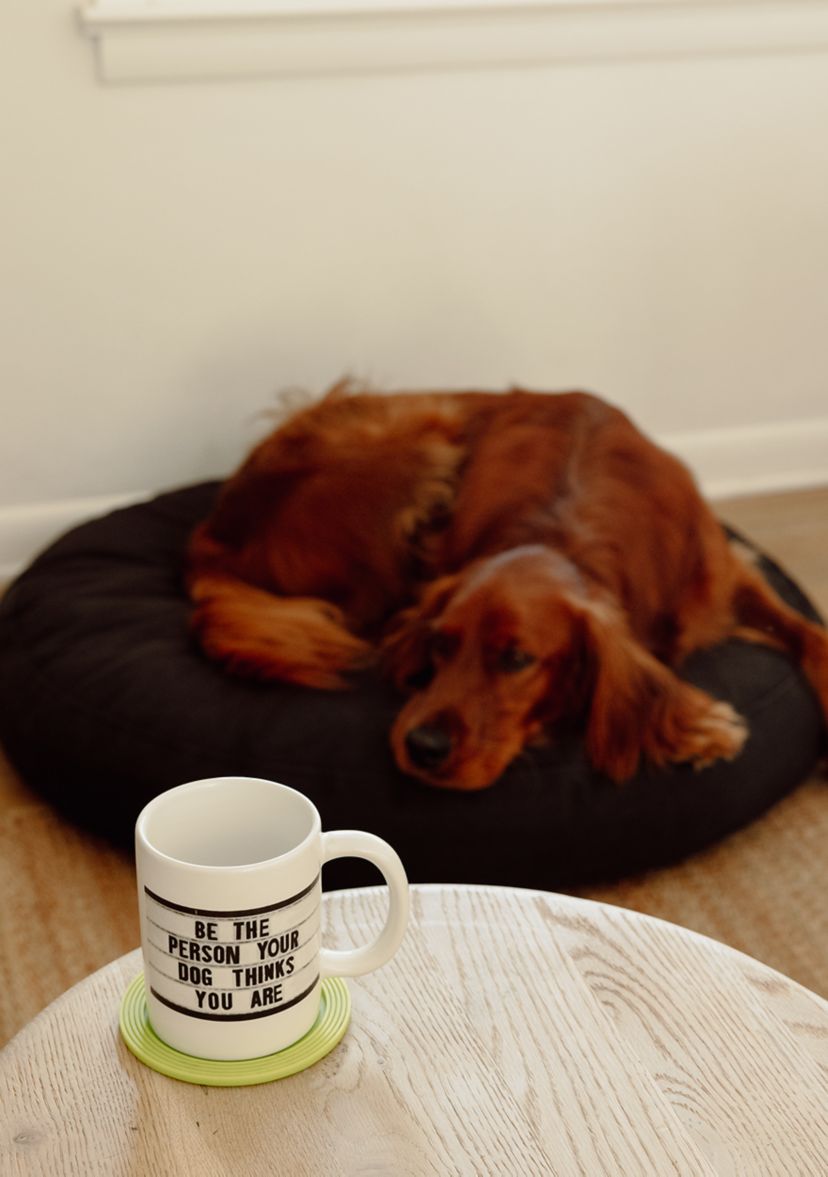 Be The Person Mug 