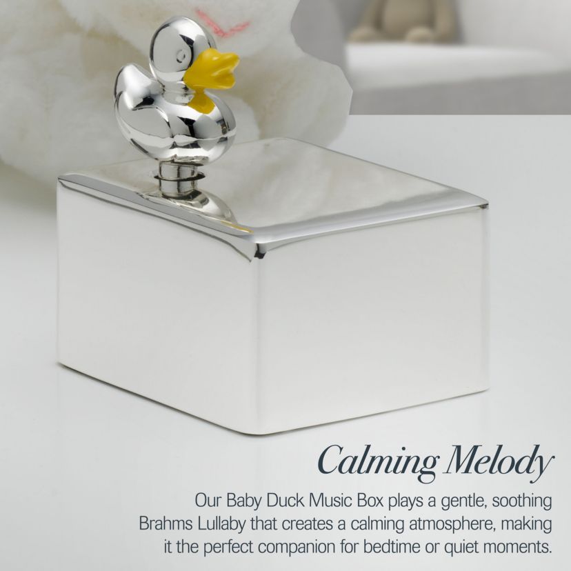 Baby Duck Music Box