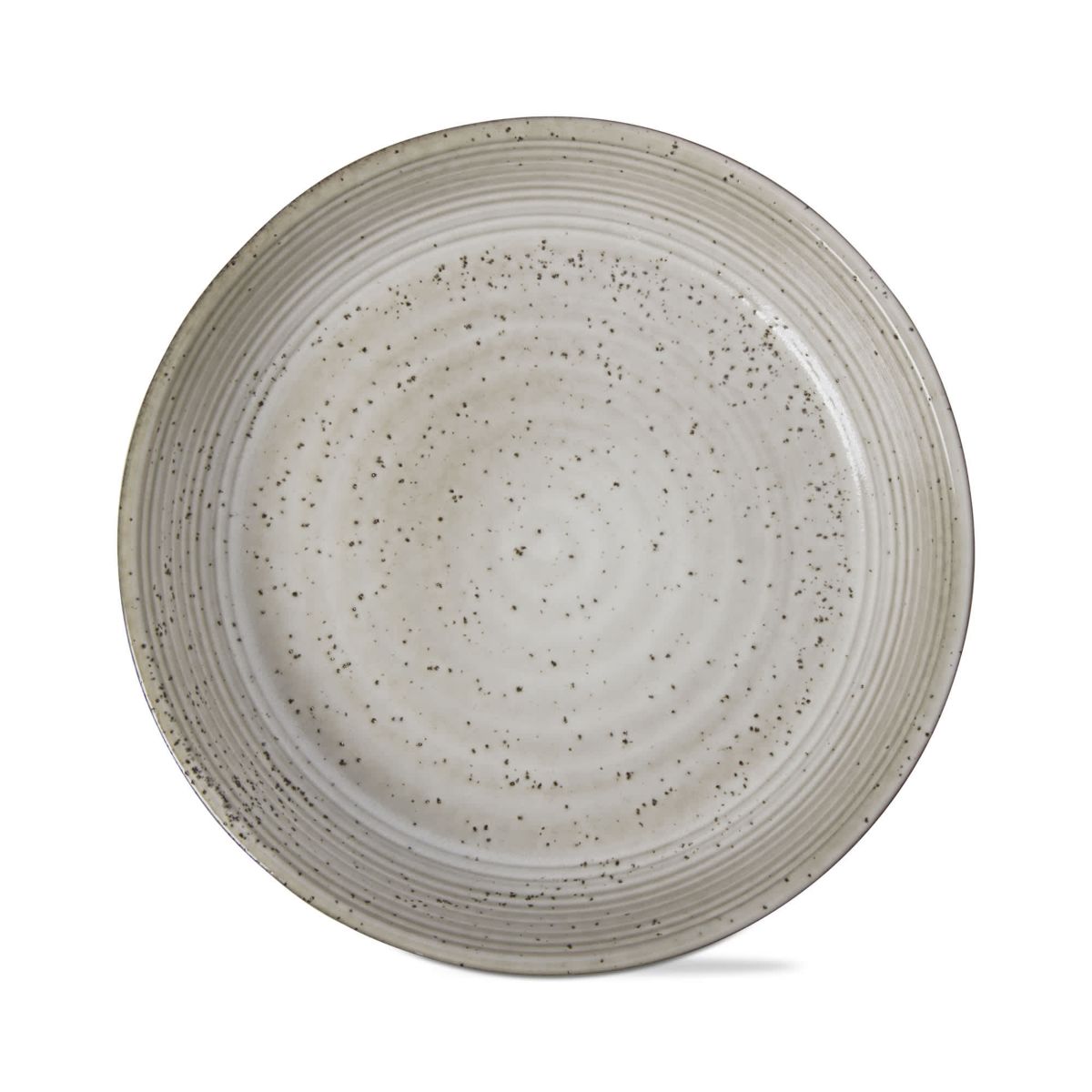 Loft Speckled Reactive Glaze Stoneware Dinnerware Plate 10 inch Latte Dishwasher Safe