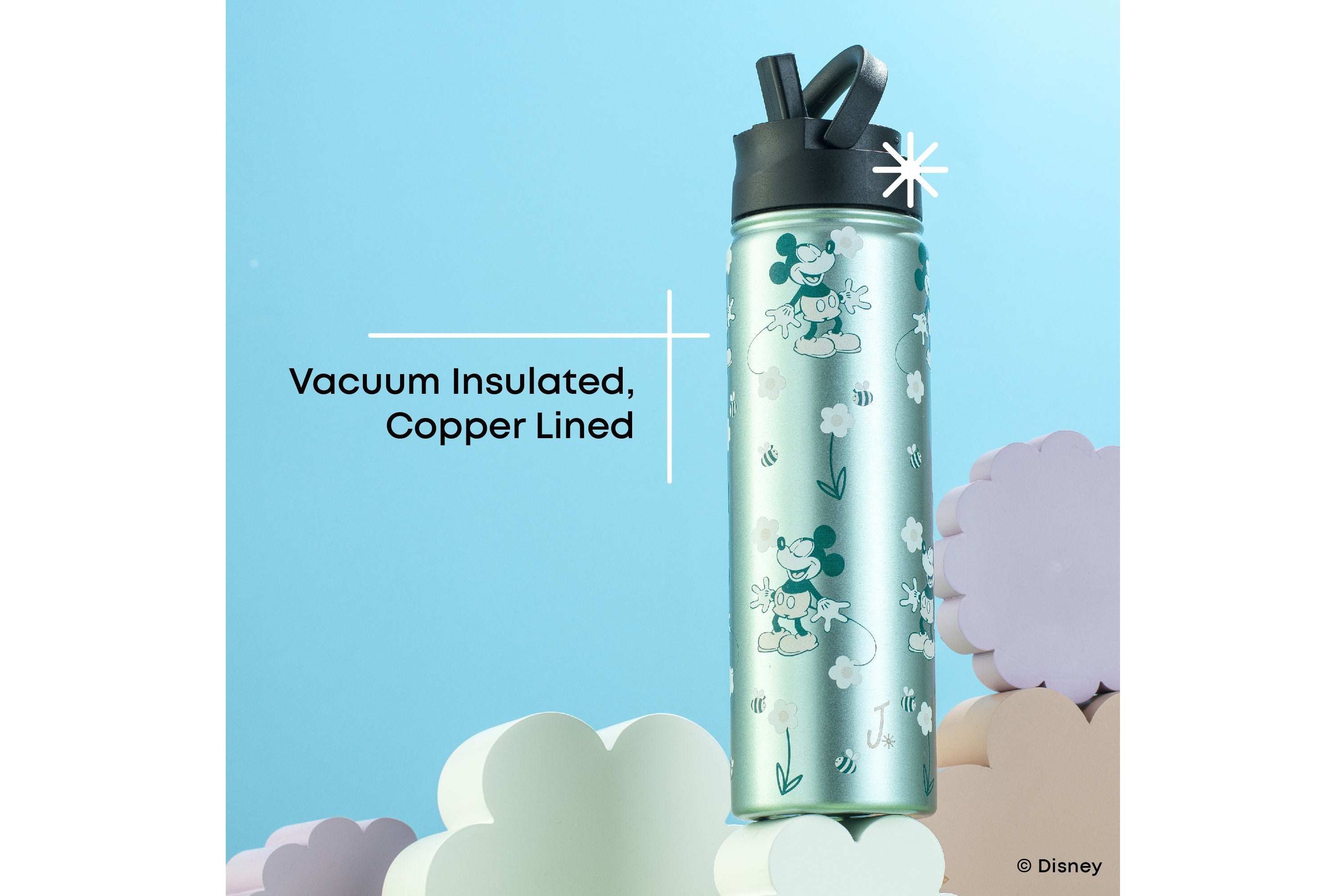 Disney Retro Vintage Mickey Mouse Stainless Steel Water Bottle