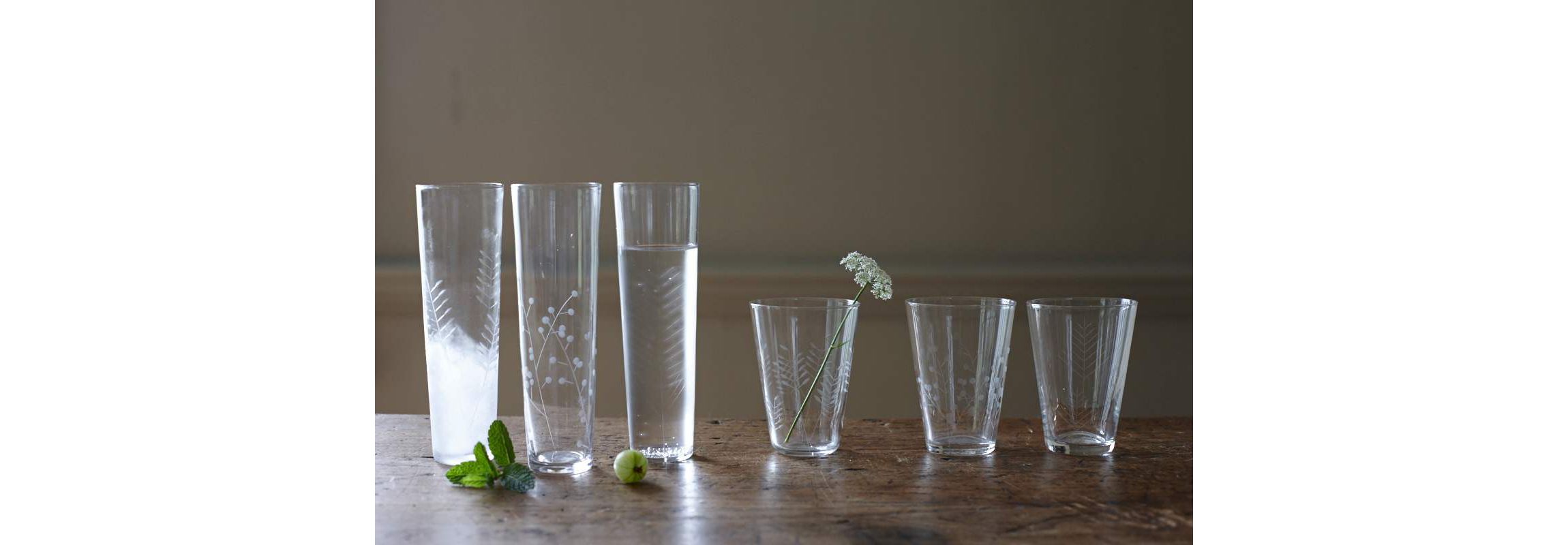 Sienna Collection Etched Glassware, Set of 6