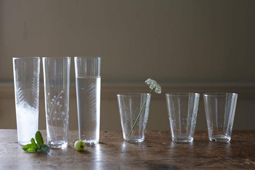 Sienna Collection Etched Glassware, Set of 6