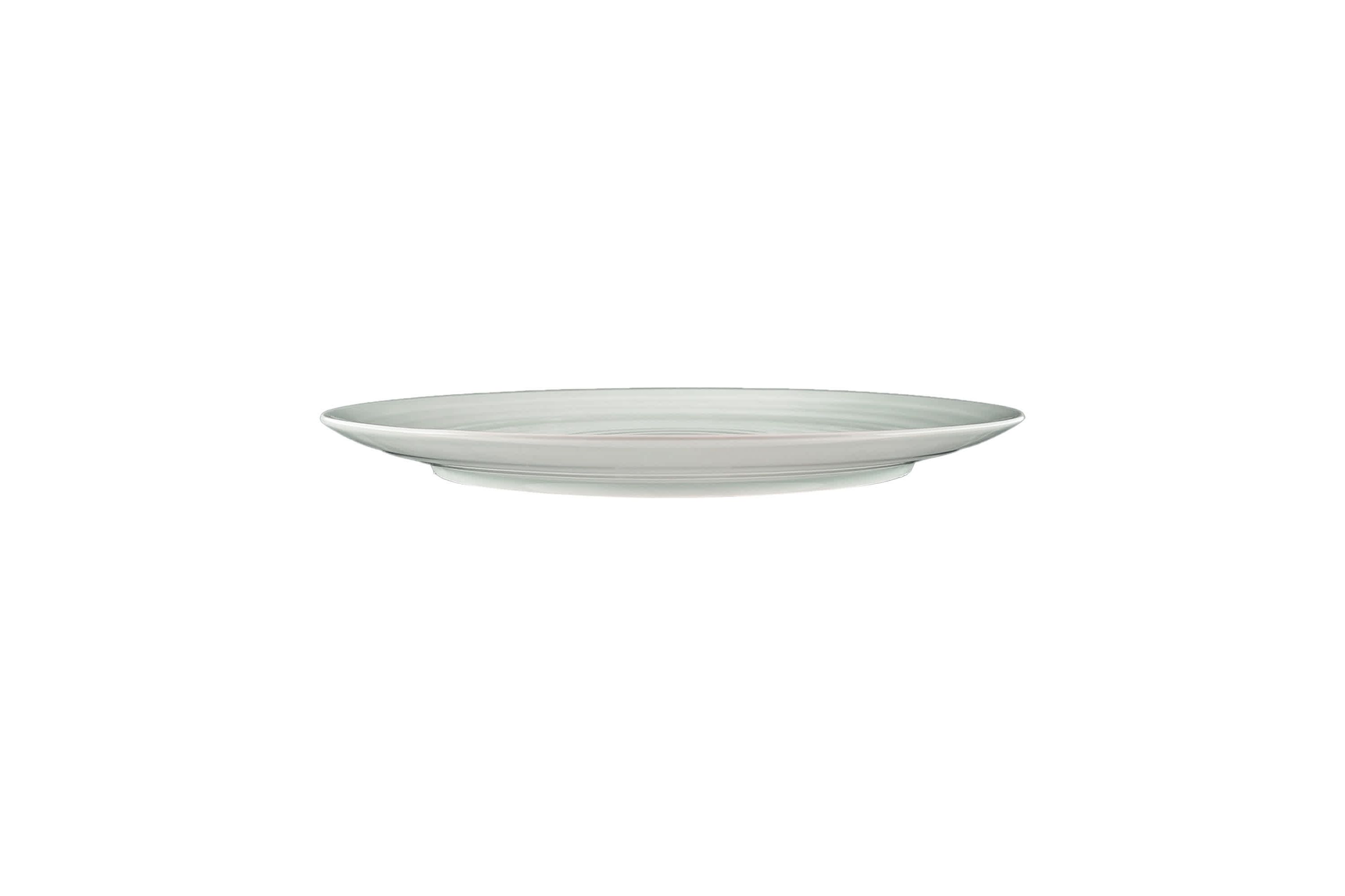 Daniel Smith Collection Dinner Plates, Set of 4