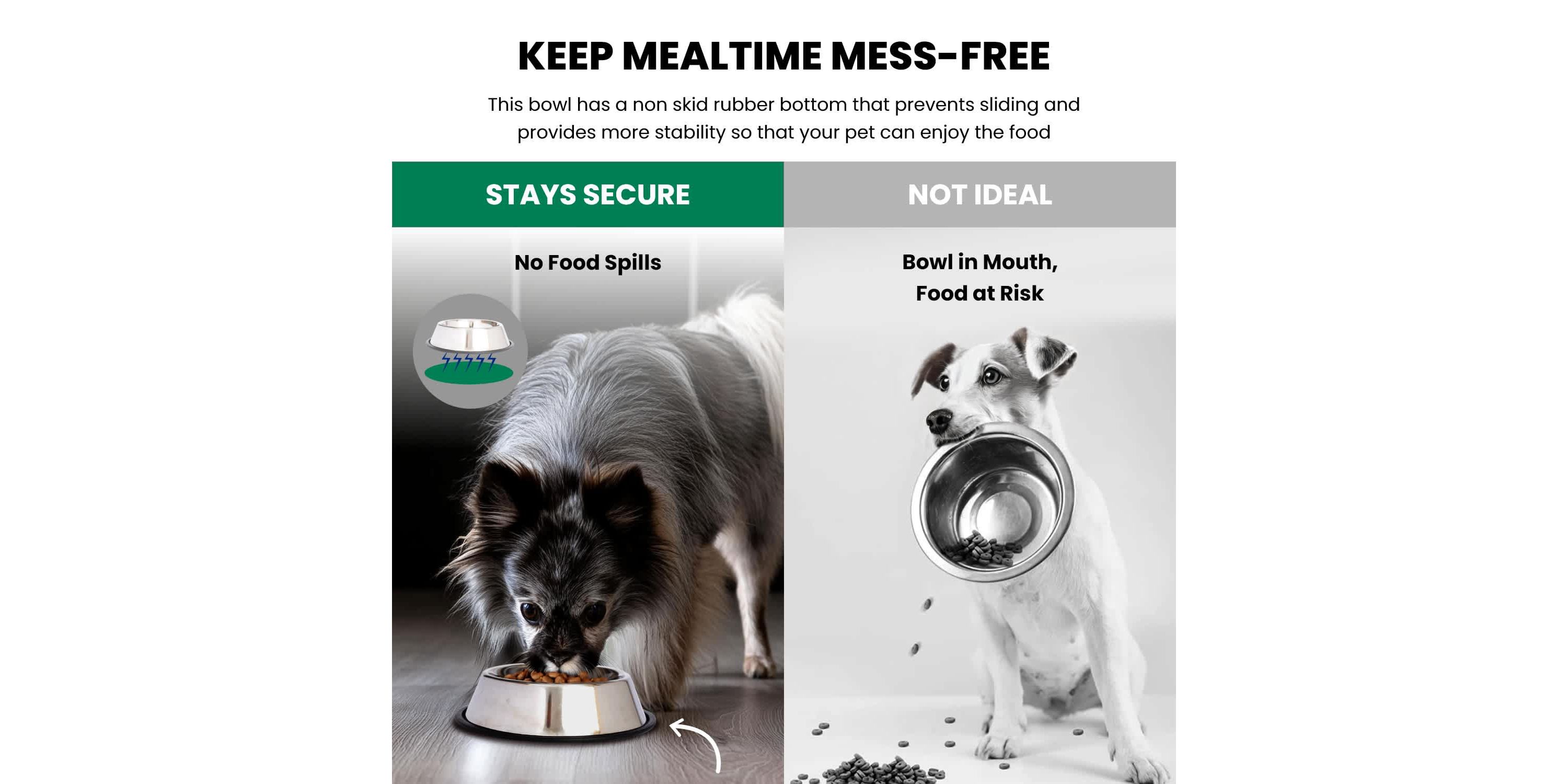 2 Pack Stainless Steel Non-Skid Pet Bowl for Dog or Cat - 24 oz - 3 cup