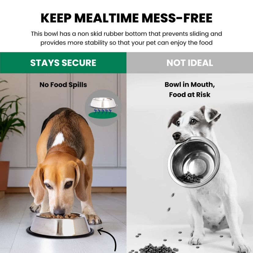 2 Pack Stainless Steel Non-Skid Pet Bowl for Dog or Cat - 32 oz - 4 cup