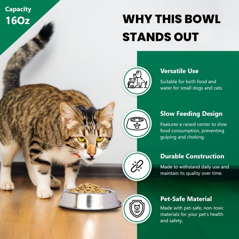 2 Pack Anti Ant Stainless Steel Non Skid Pet Bowl for Dog or Cat - 16 oz - 2 cup