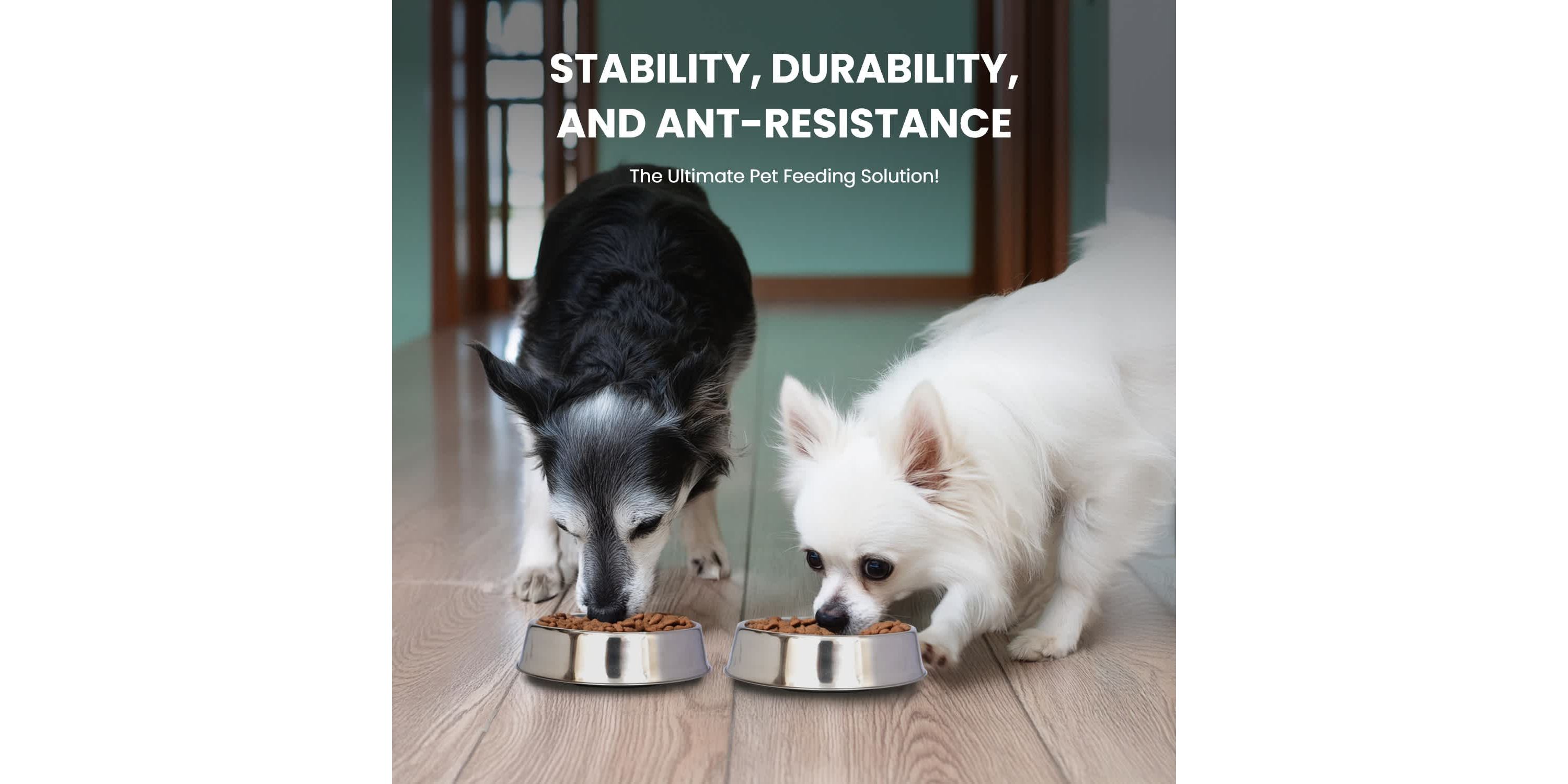 2 Pack Anti Ant Stainless Steel Non Skid Pet Bowl for Dog or Cat - 16 oz - 2 cup